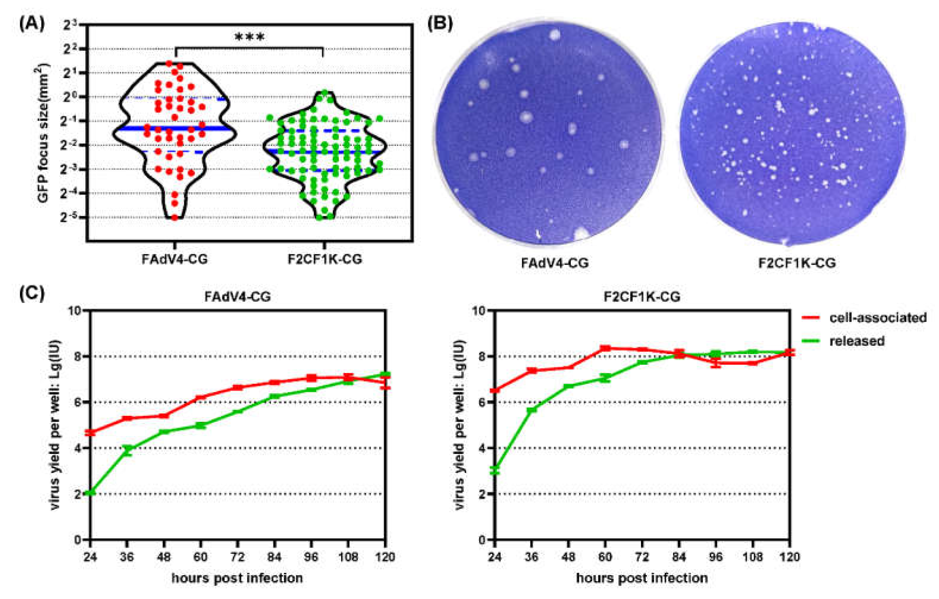 Genes 13 02316 g006 Genes 13 02316 g006