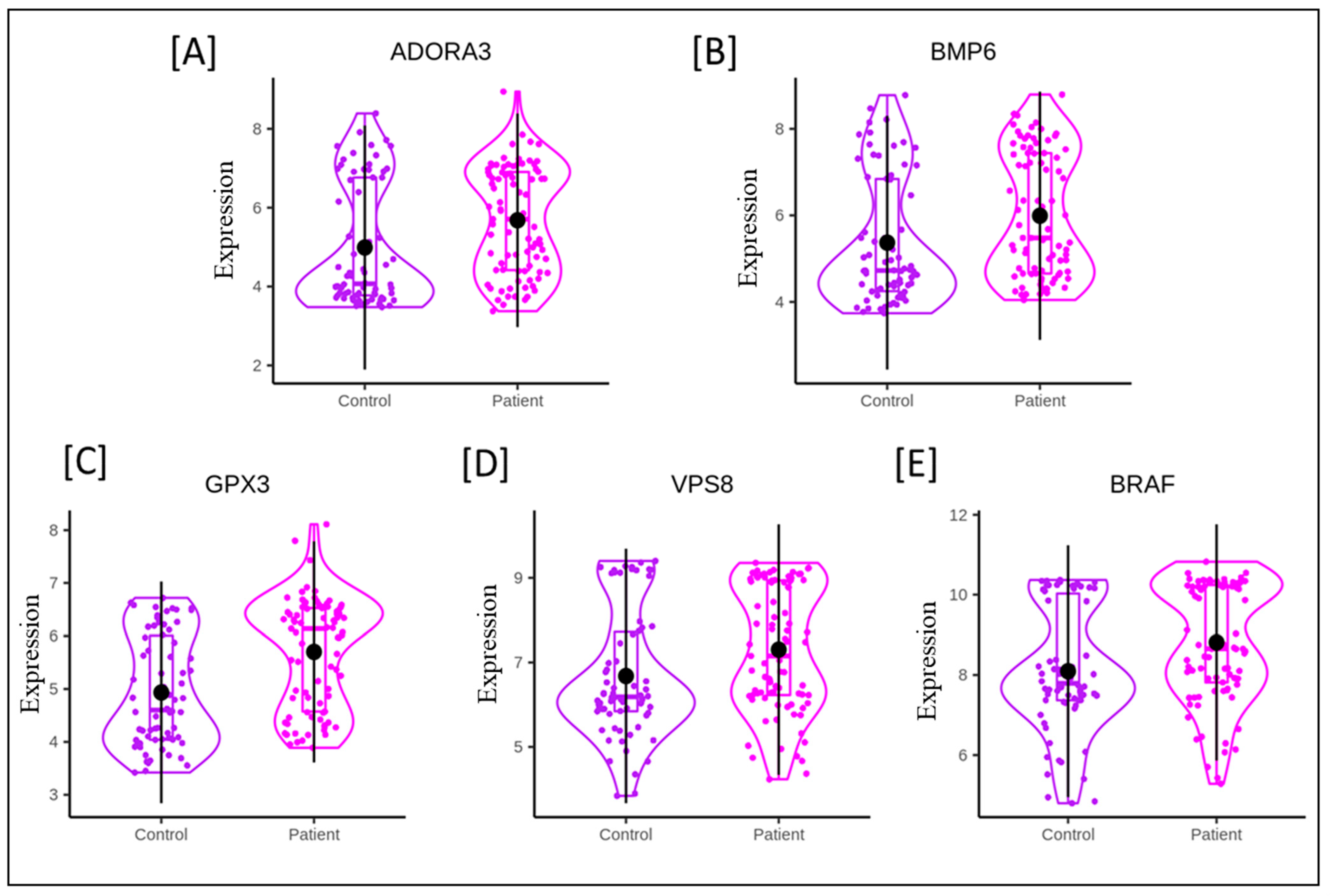 Genes 13 02321 g002 Genes 13 02321 g002