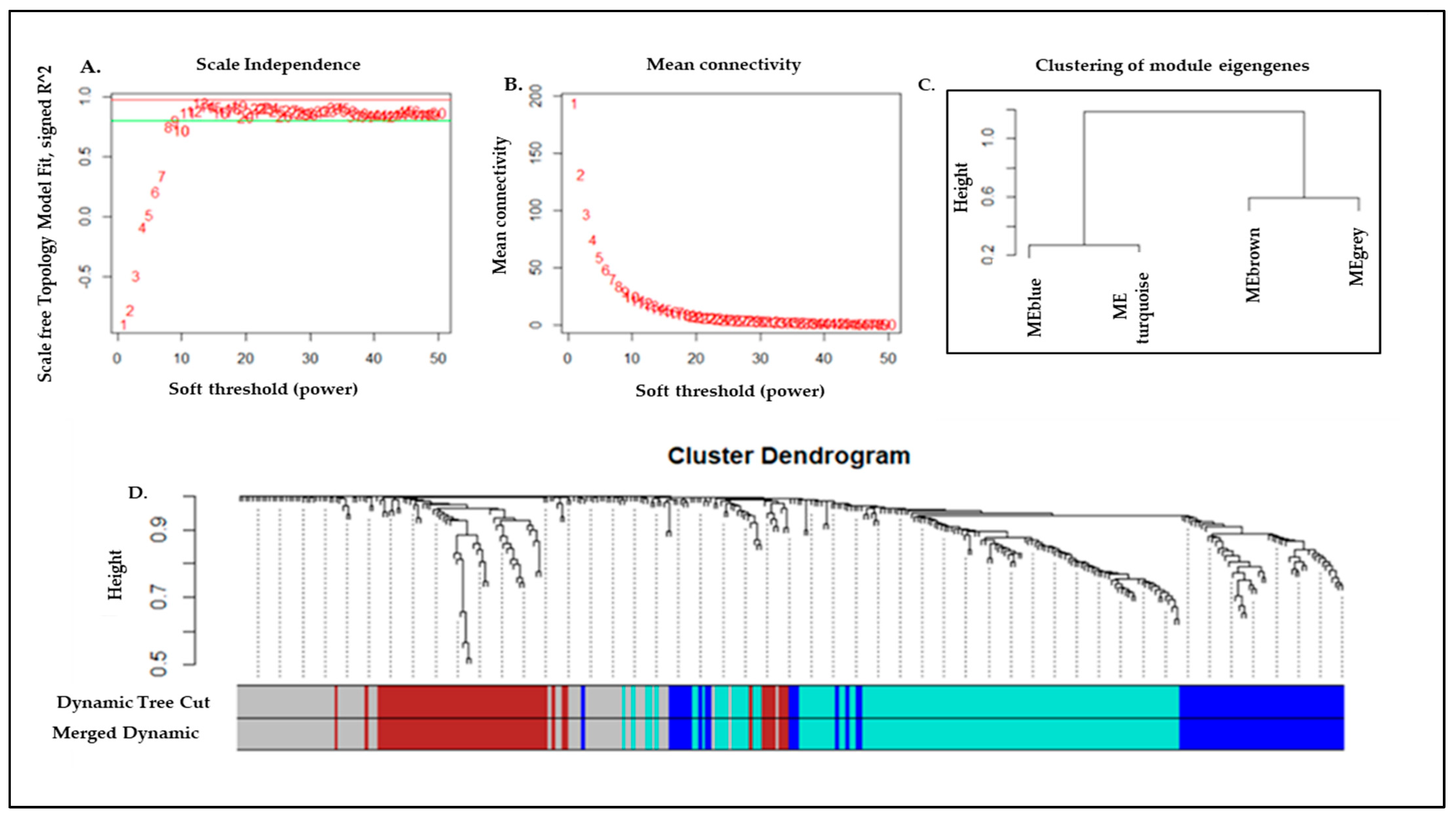 Genes 13 02321 g003 Genes 13 02321 g003