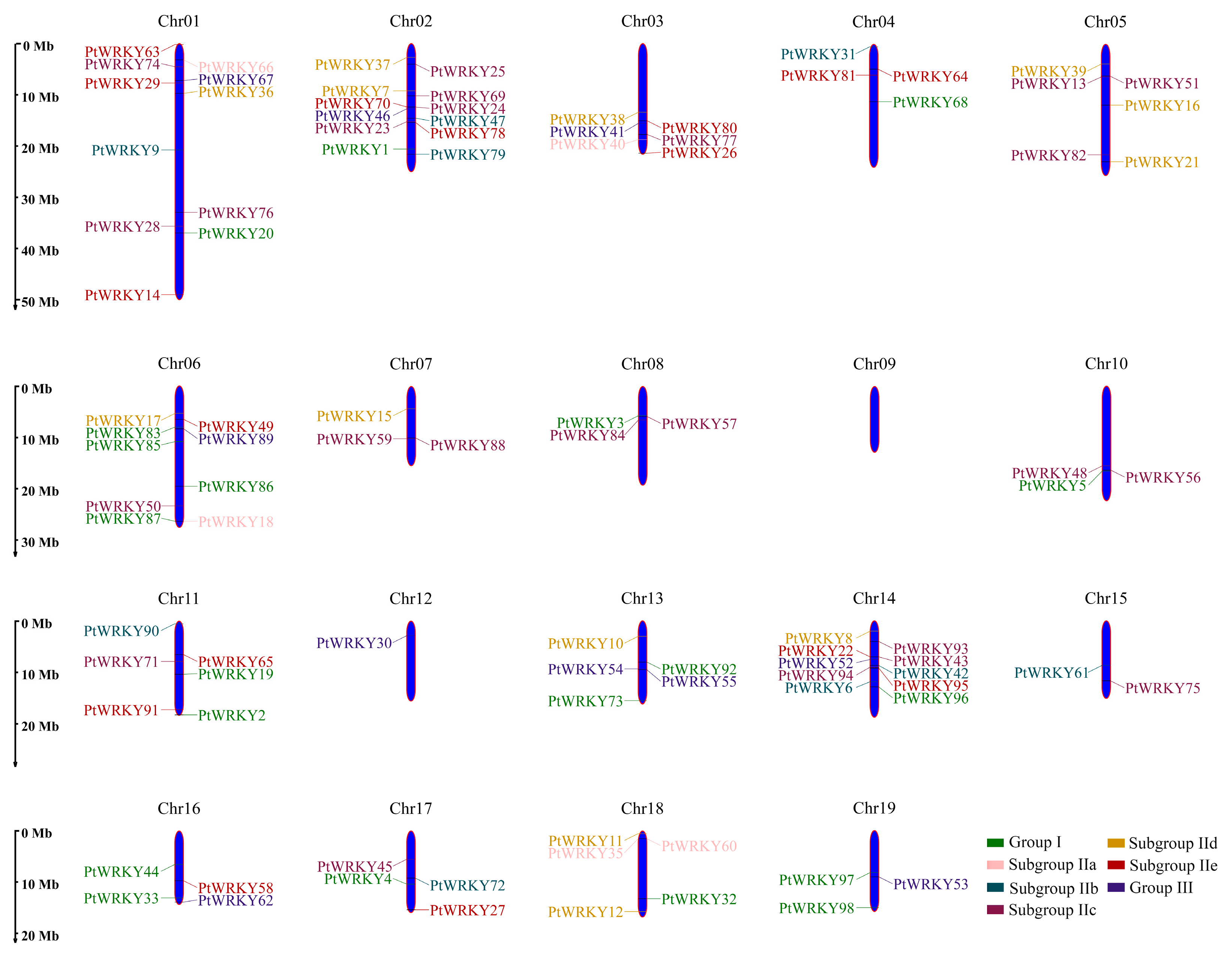 Genes 13 02324 g002 Genes 13 02324 g002