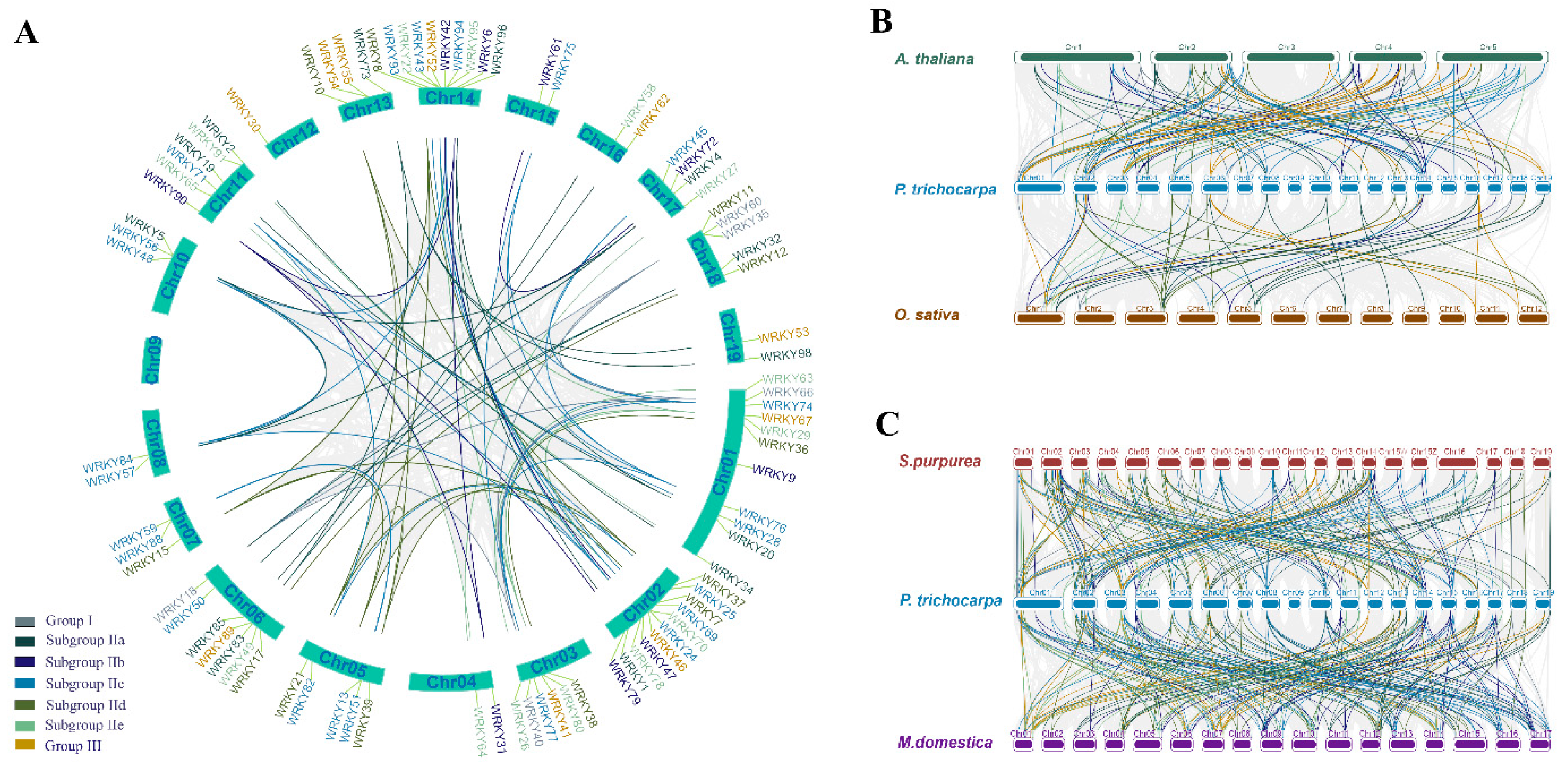Genes 13 02324 g003 Genes 13 02324 g003