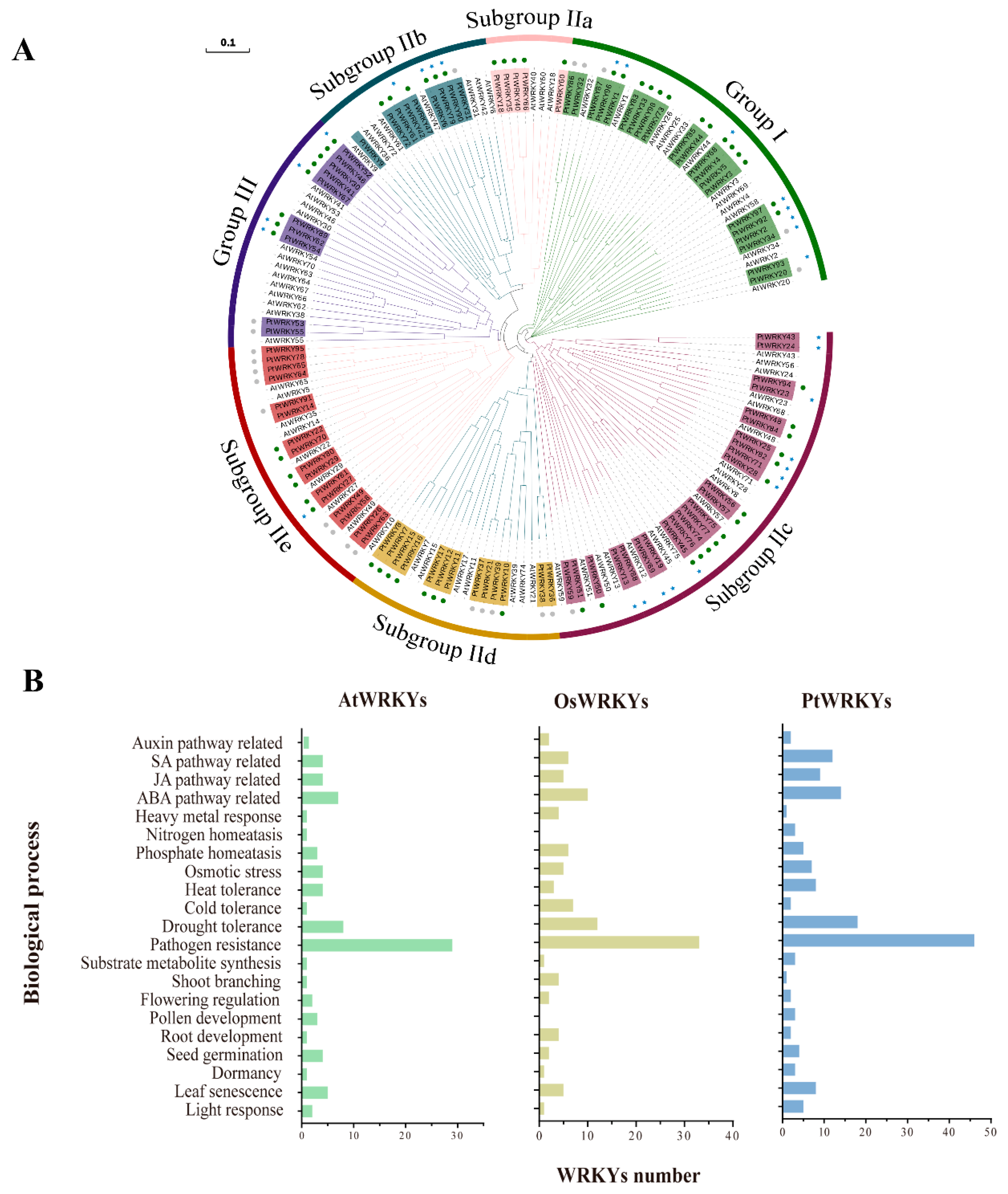 Genes 13 02324 g005 Genes 13 02324 g005