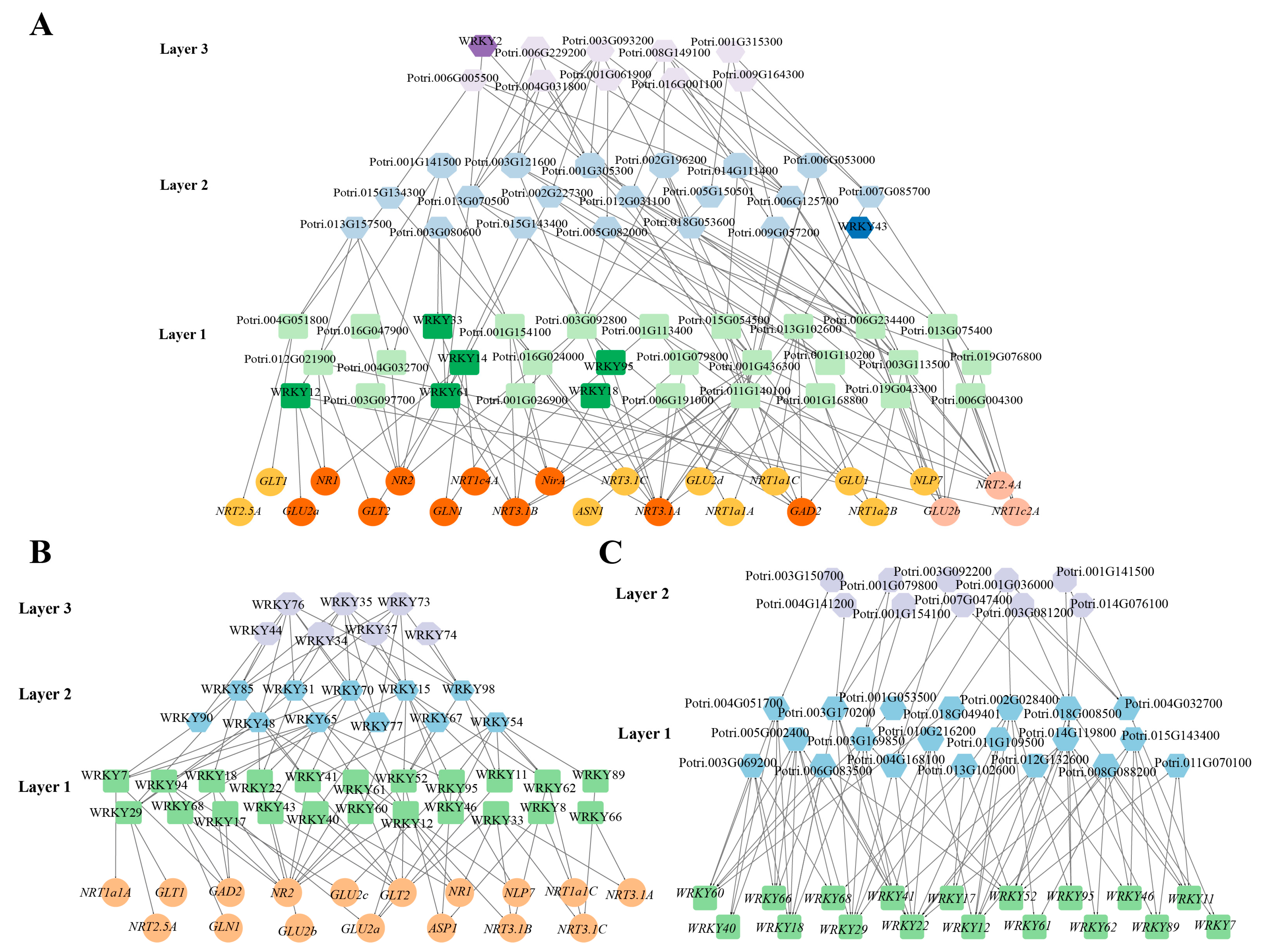Genes 13 02324 g006 Genes 13 02324 g006