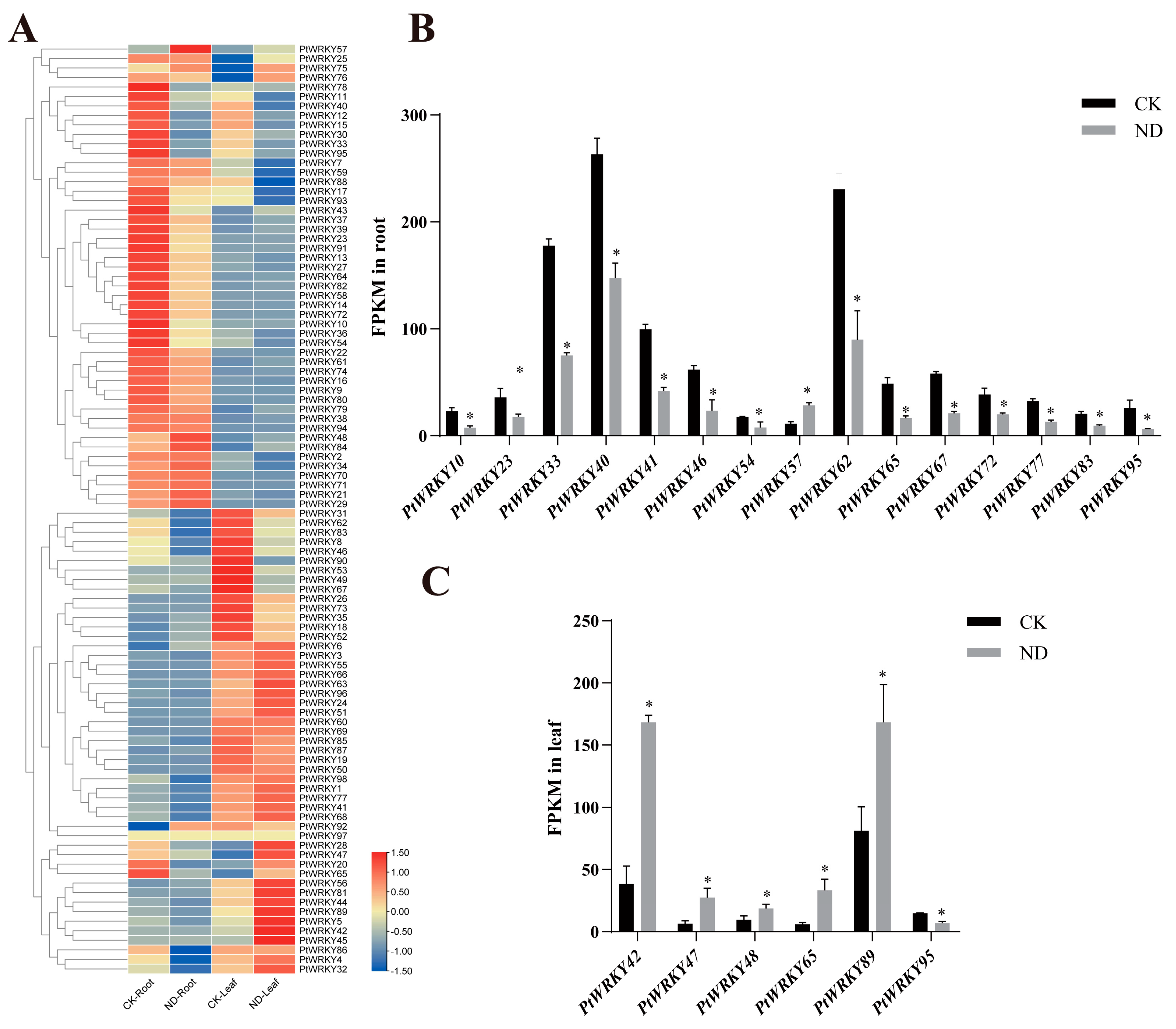 Genes 13 02324 g007 Genes 13 02324 g007