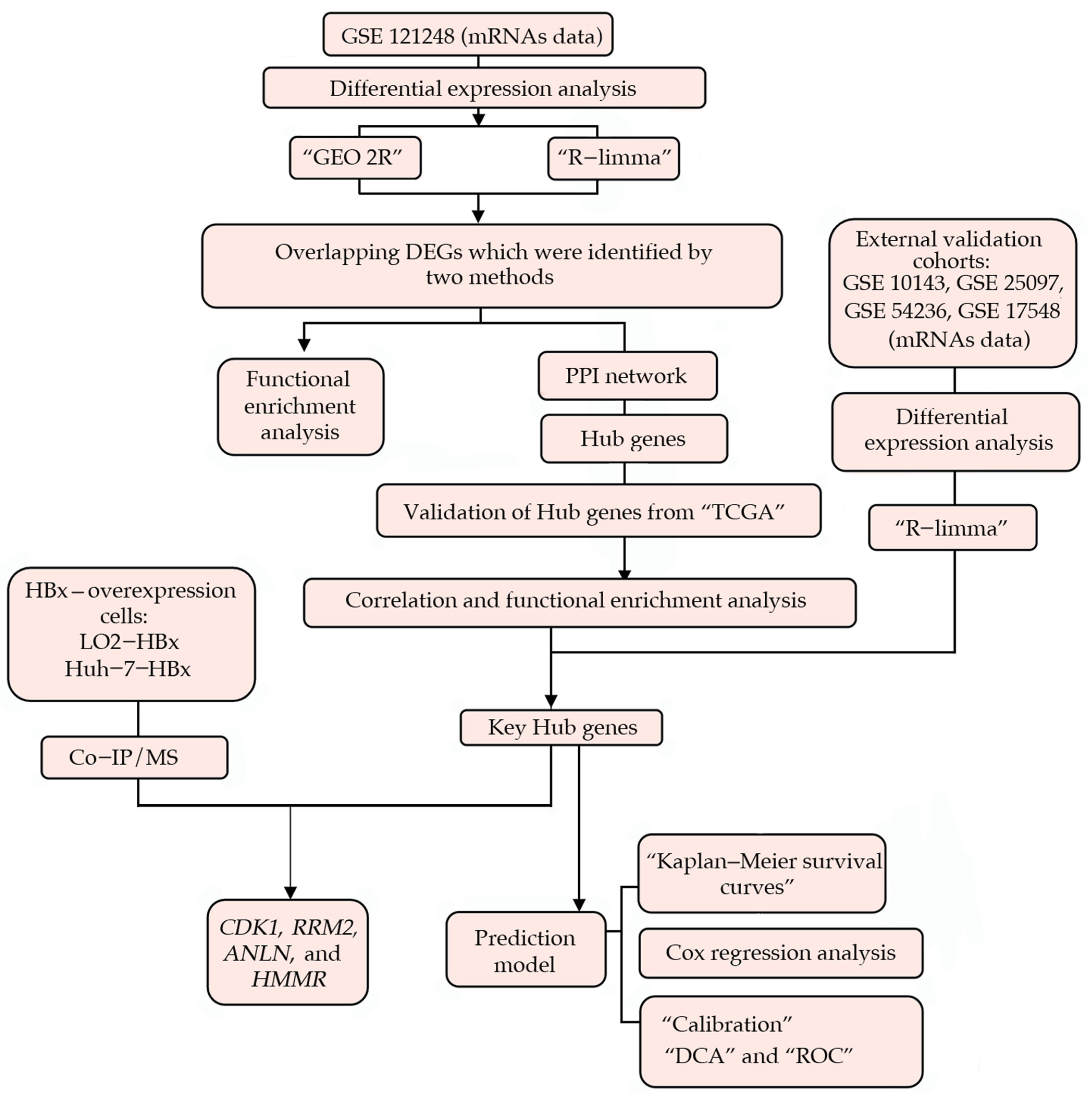 Genes 13 02331 g001 Genes 13 02331 g001