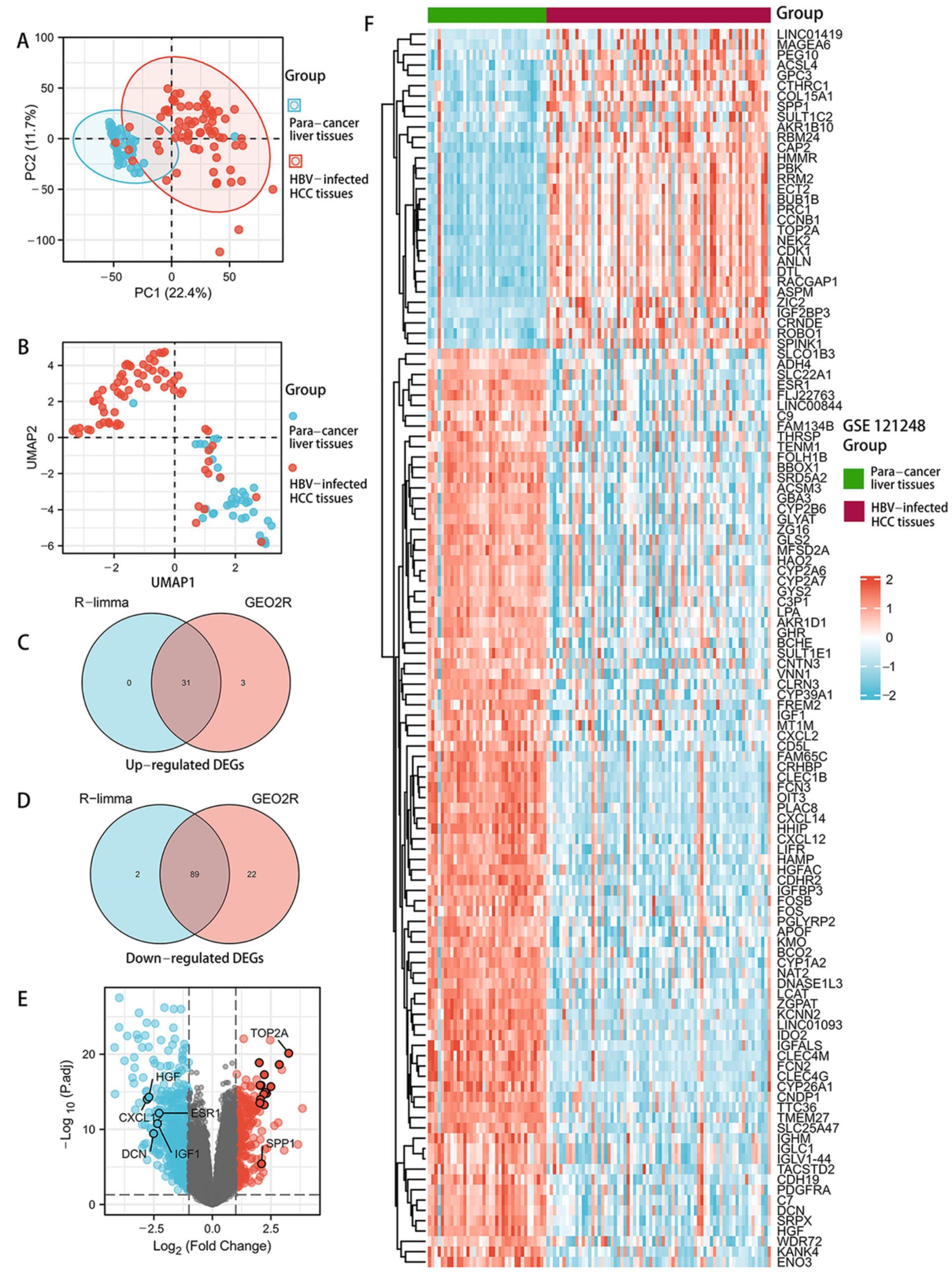 Genes 13 02331 g002 Genes 13 02331 g002