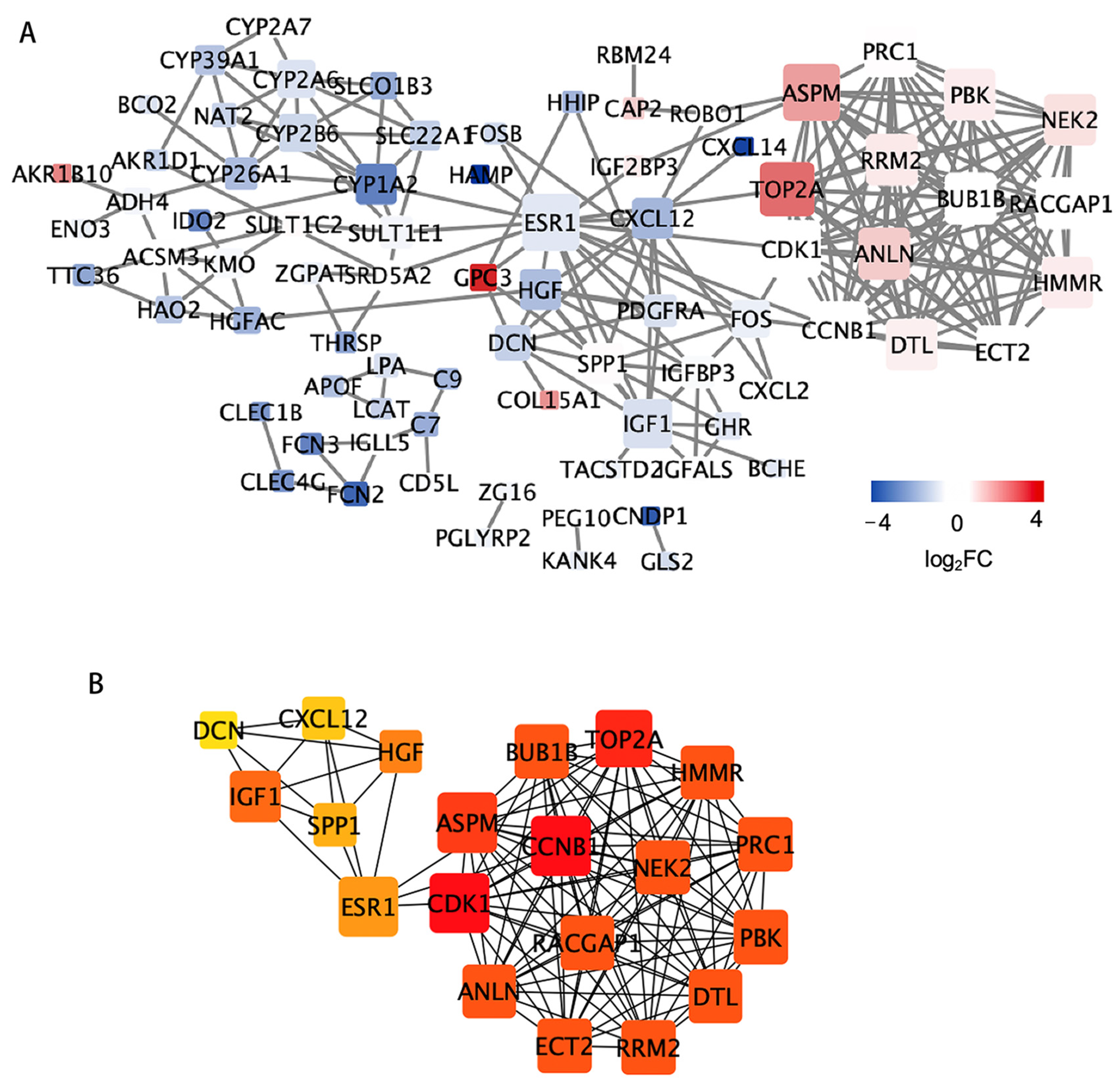 Genes 13 02331 g004 Genes 13 02331 g004