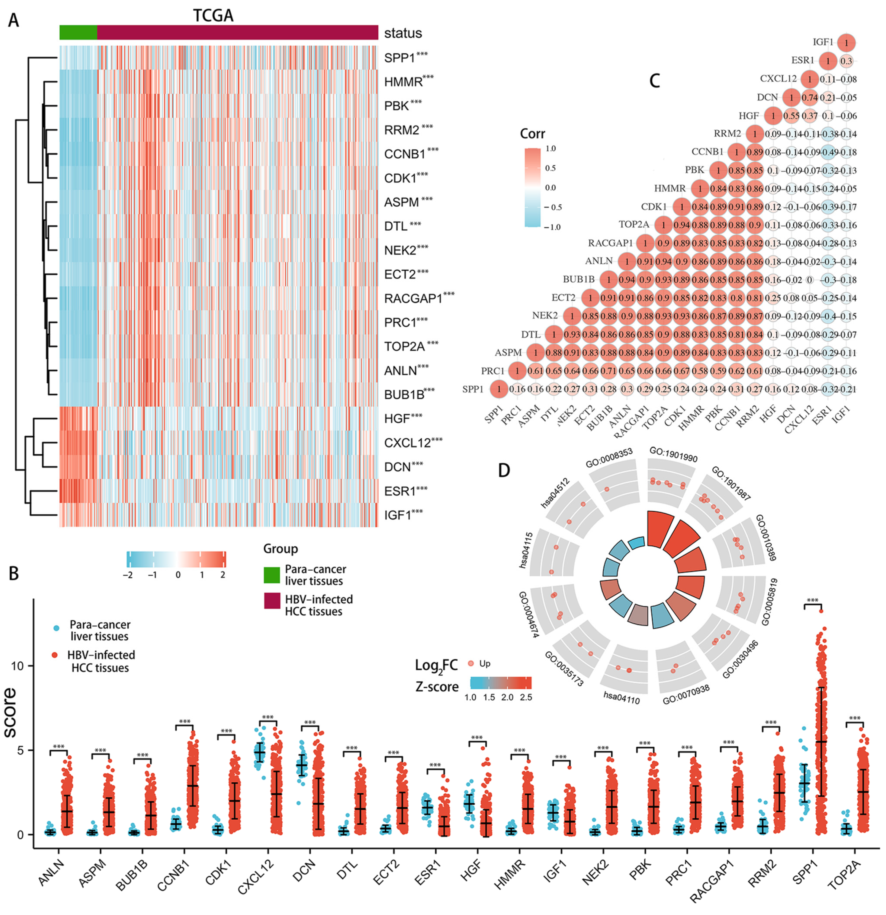 Genes 13 02331 g005 Genes 13 02331 g005