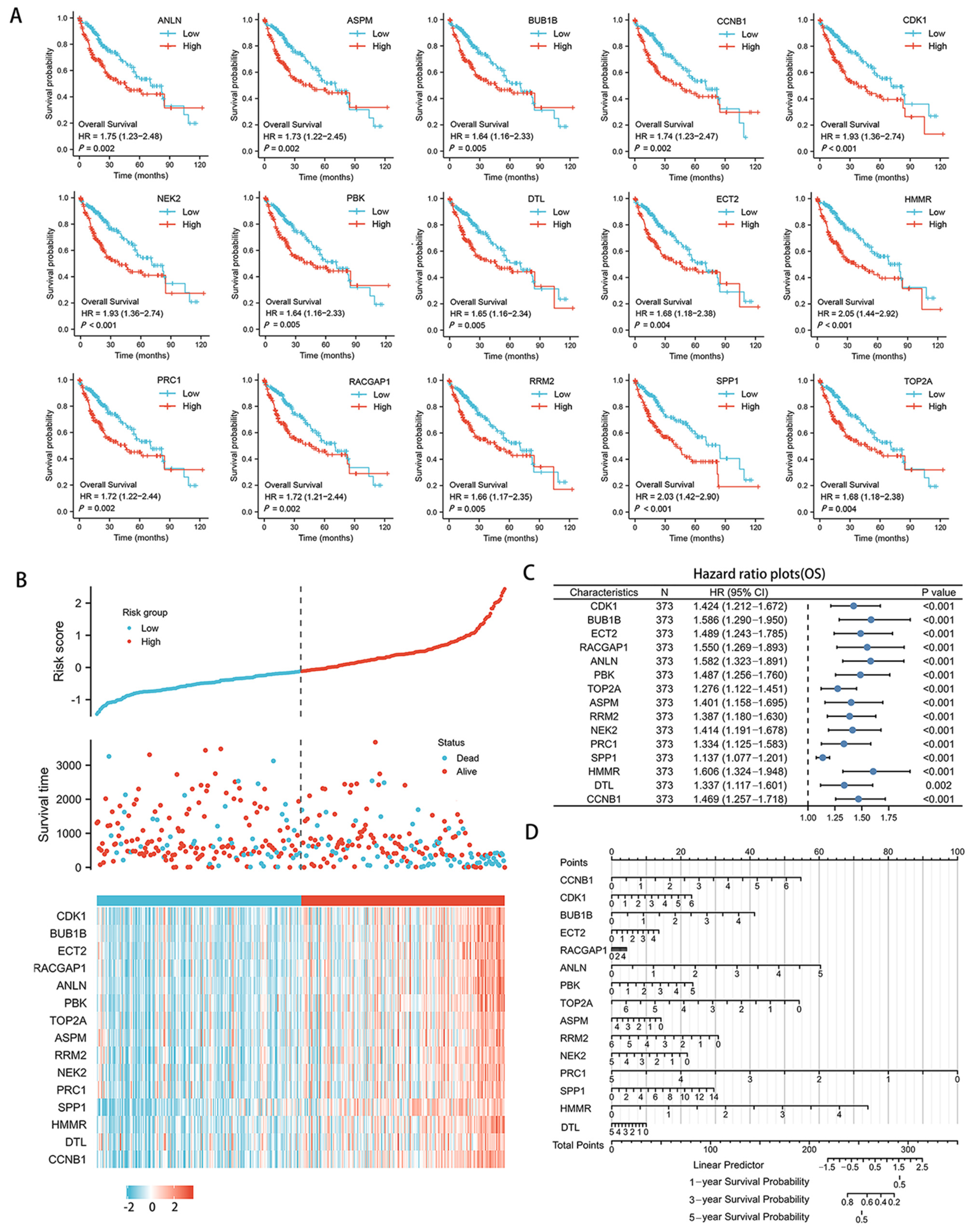 Genes 13 02331 g007 Genes 13 02331 g007