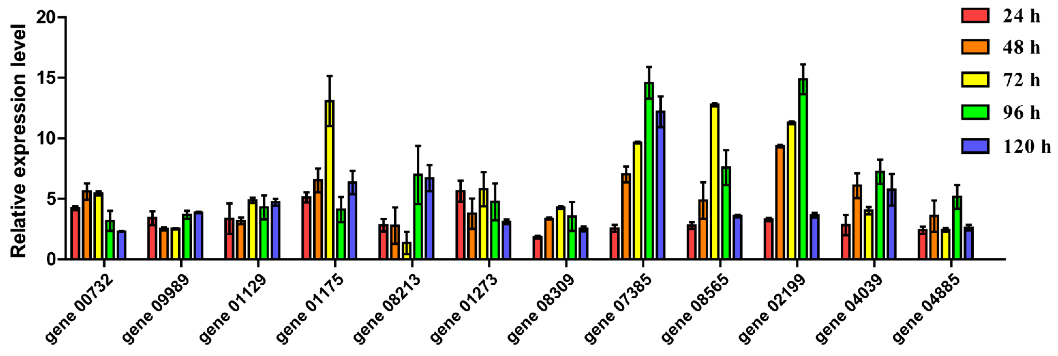 Genes 13 02341 g007