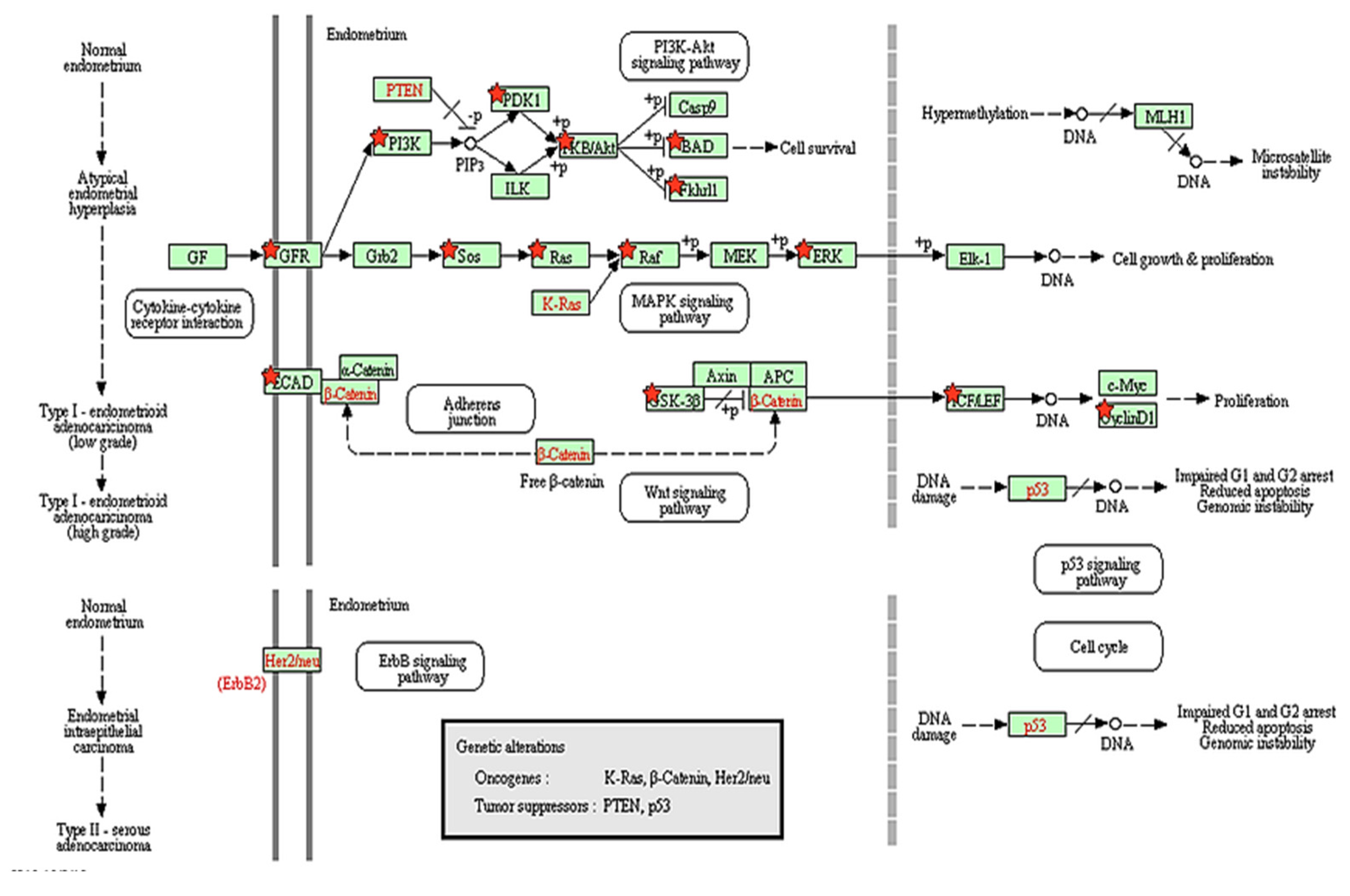 Genes 13 02342 g003 Genes 13 02342 g003
