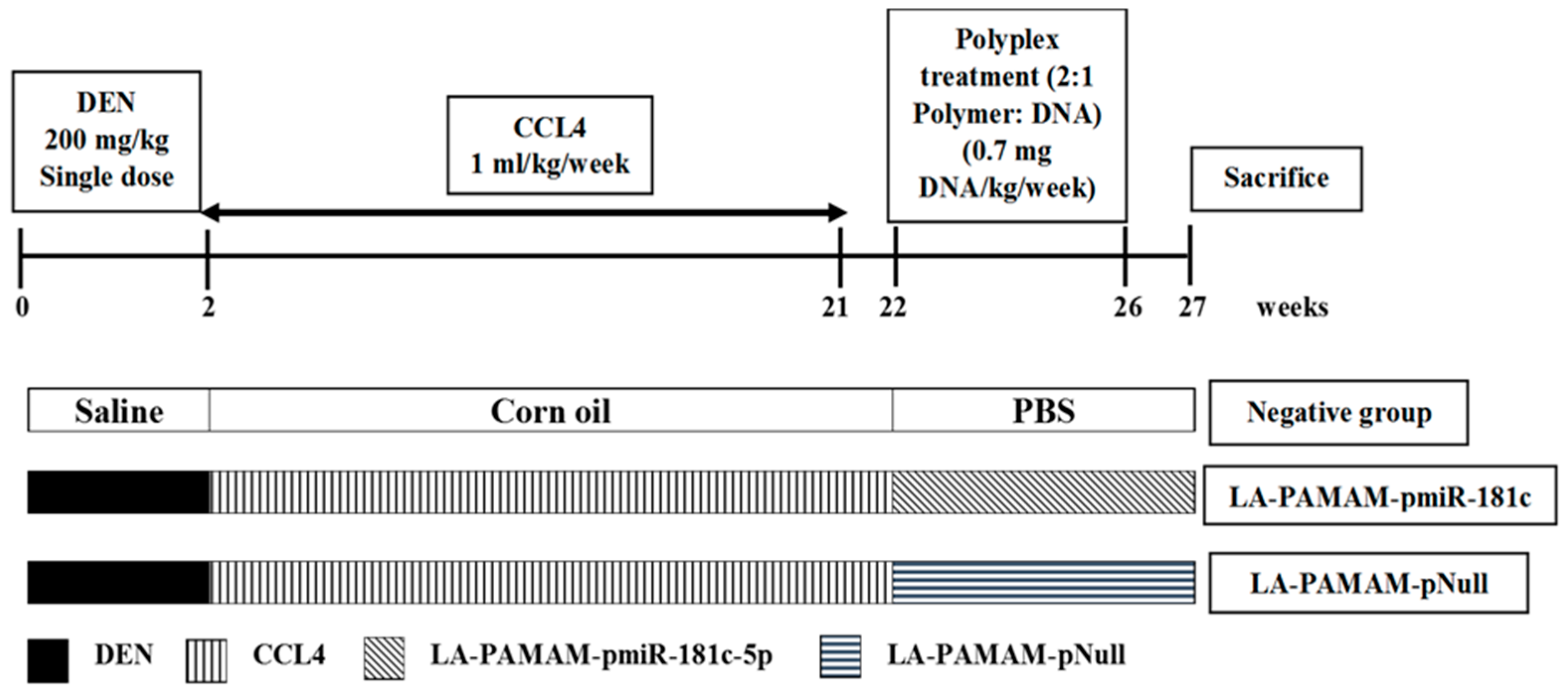 Genes 13 02343 g001 Genes 13 02343 g001