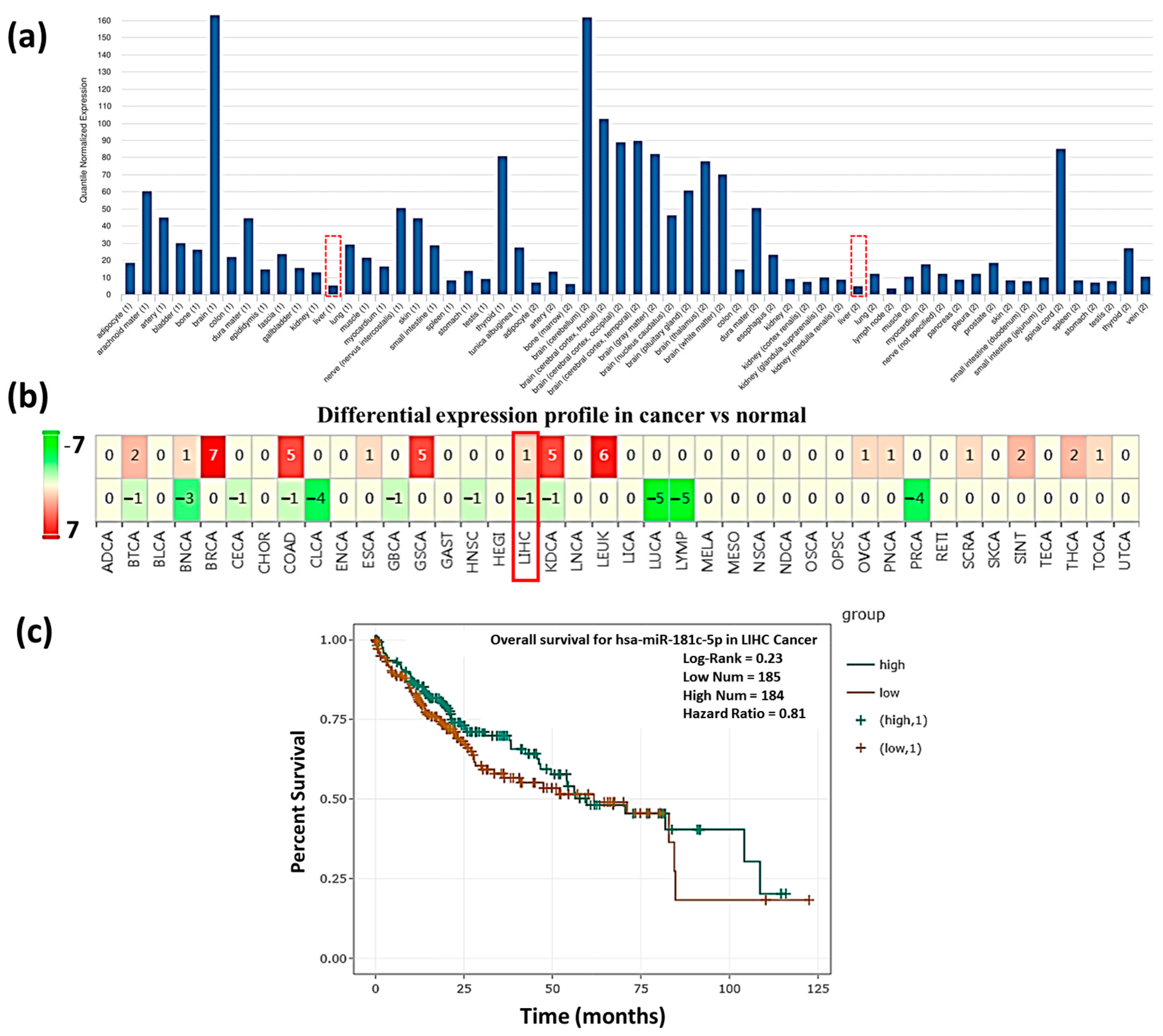 Genes 13 02343 g002 Genes 13 02343 g002
