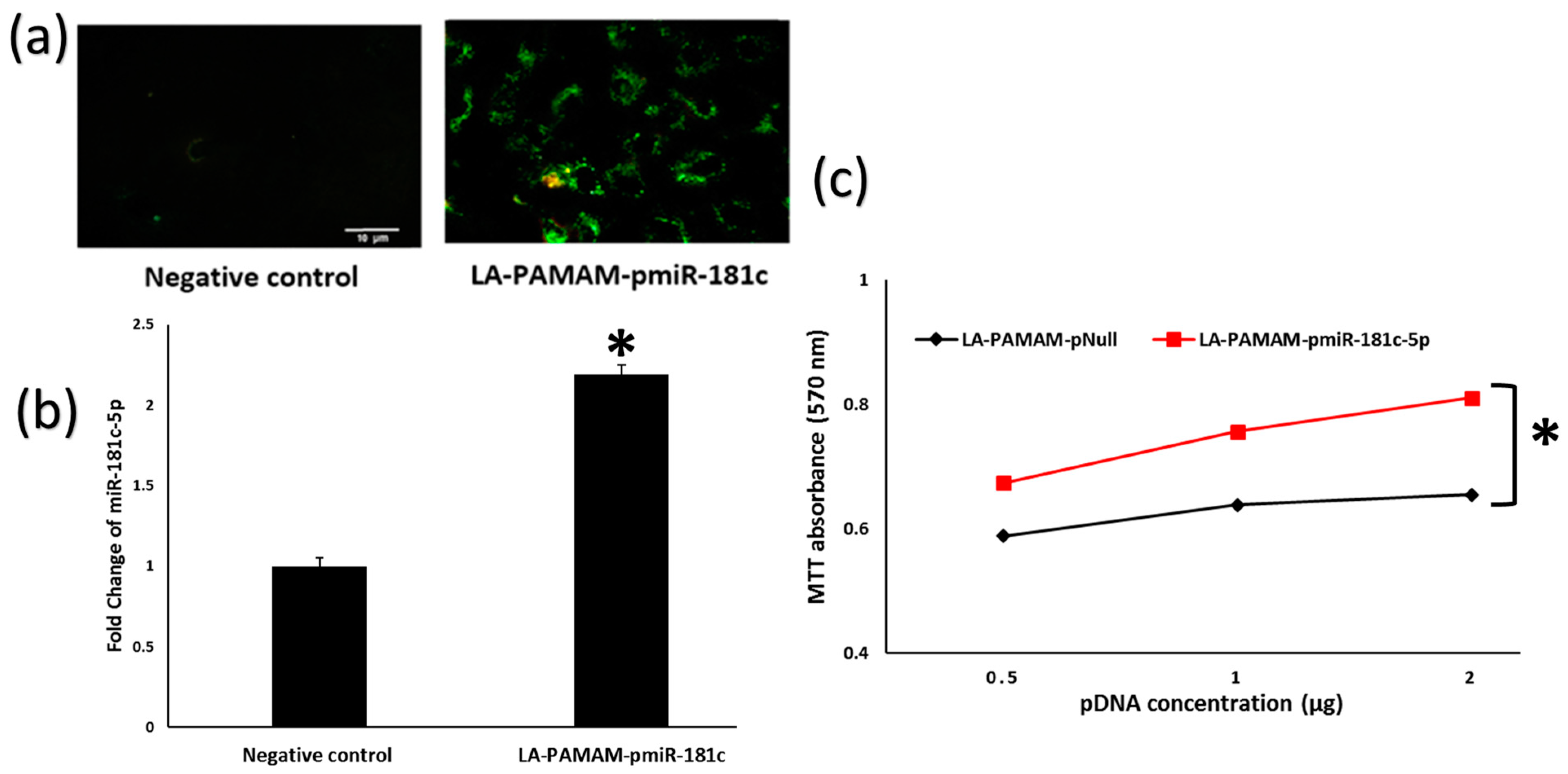Genes 13 02343 g003 Genes 13 02343 g003