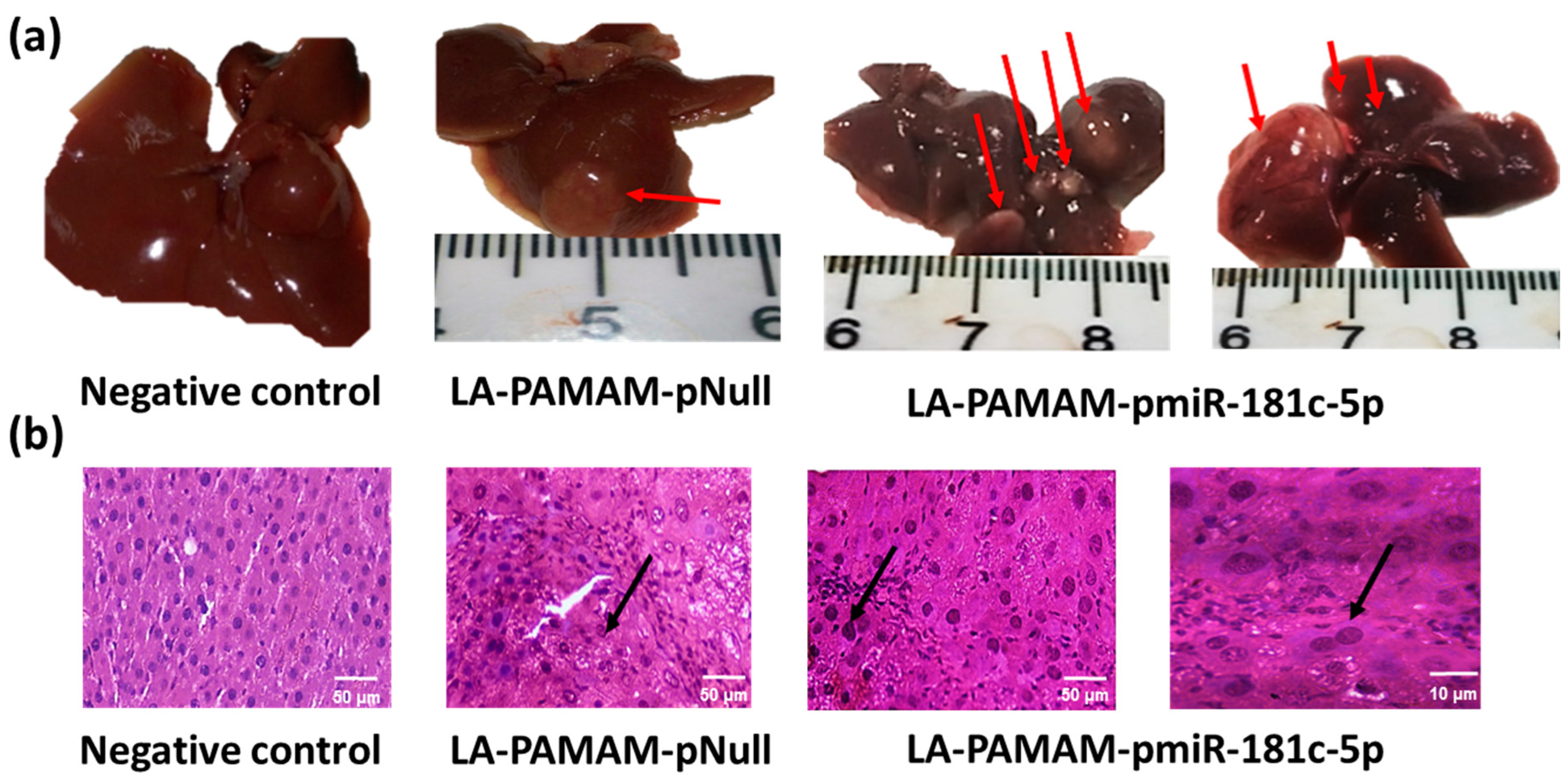 Genes 13 02343 g004 Genes 13 02343 g004