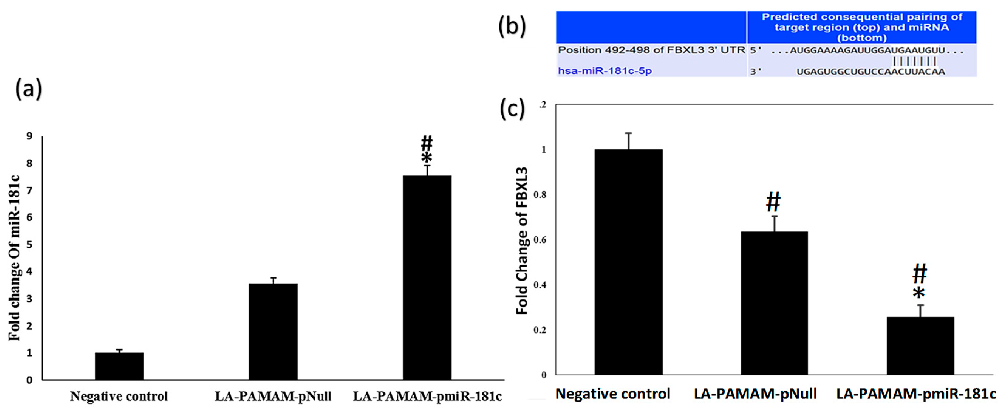 Genes 13 02343 g007 Genes 13 02343 g007