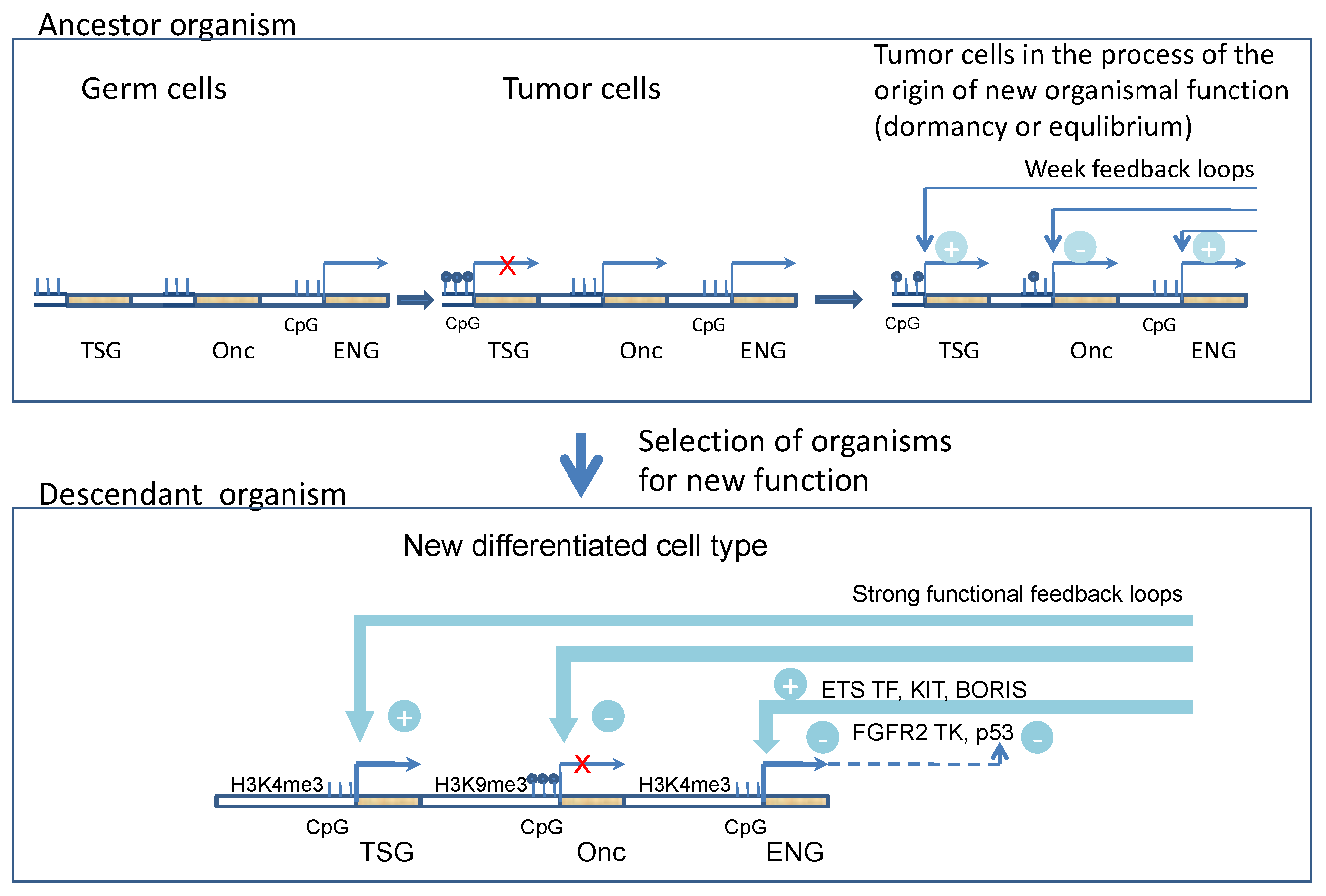 Genes 13 02347 g001 Genes 13 02347 g001