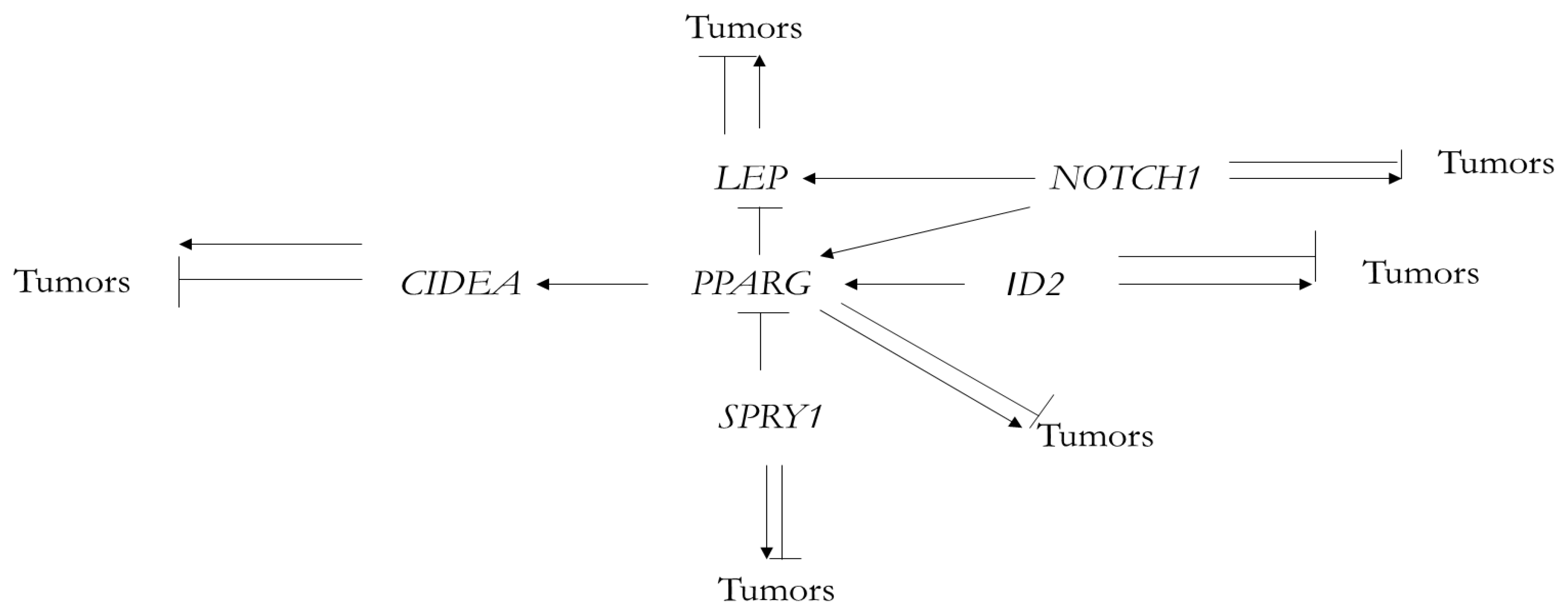 Genes 13 02347 g004 Genes 13 02347 g004