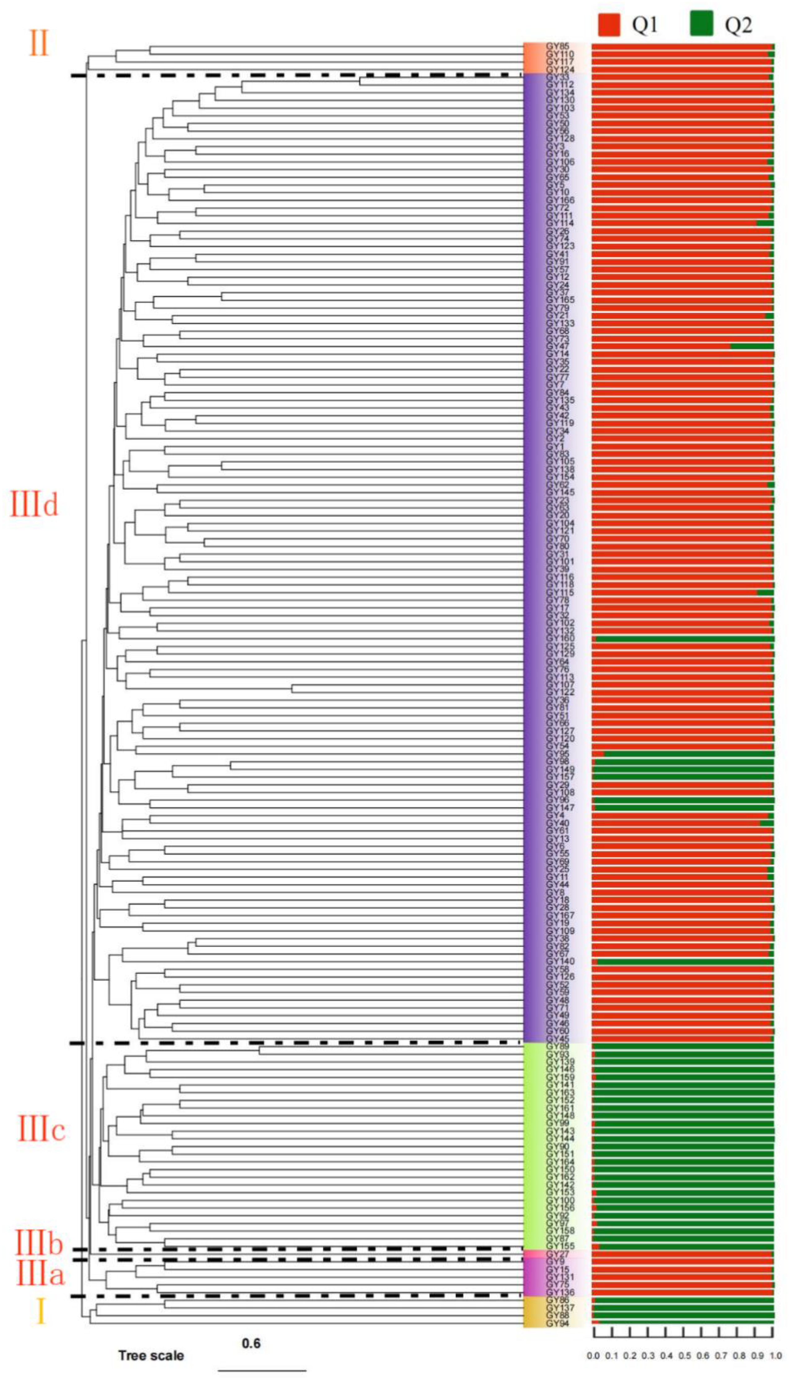 Genes 13 02351 g003 Genes 13 02351 g003