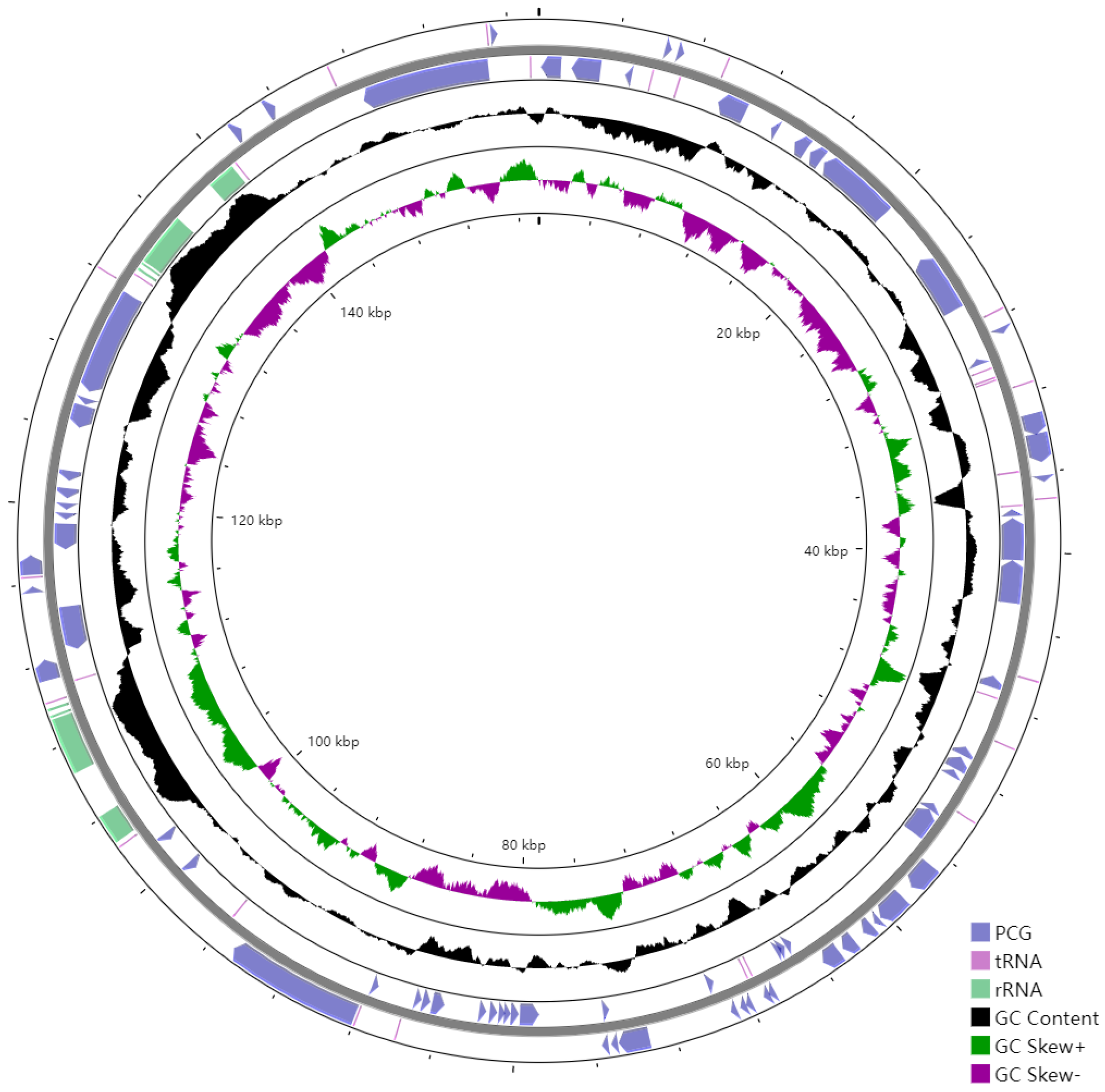 Genes 13 02352 g002 Genes 13 02352 g002