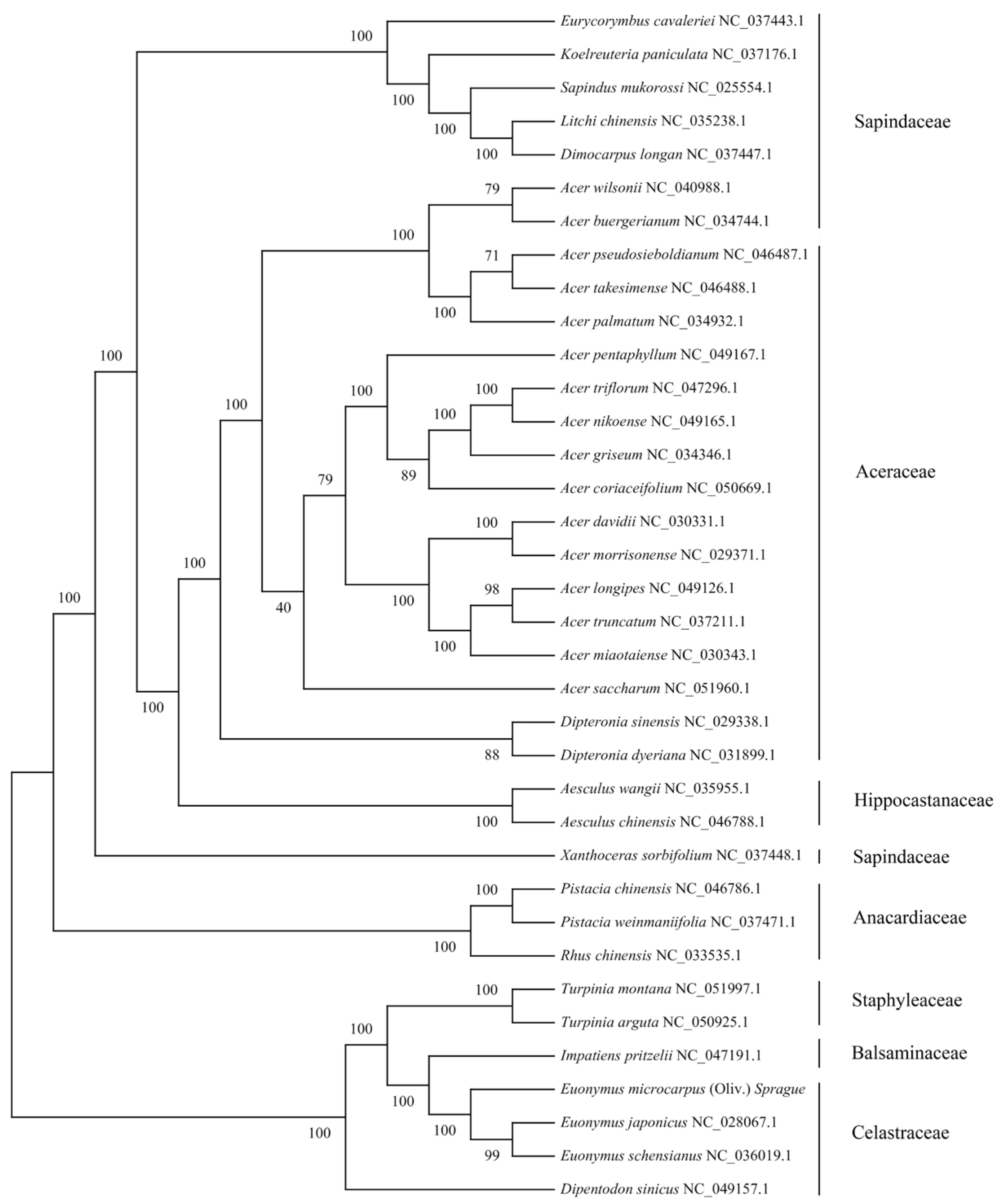 Genes 13 02352 g004 Genes 13 02352 g004