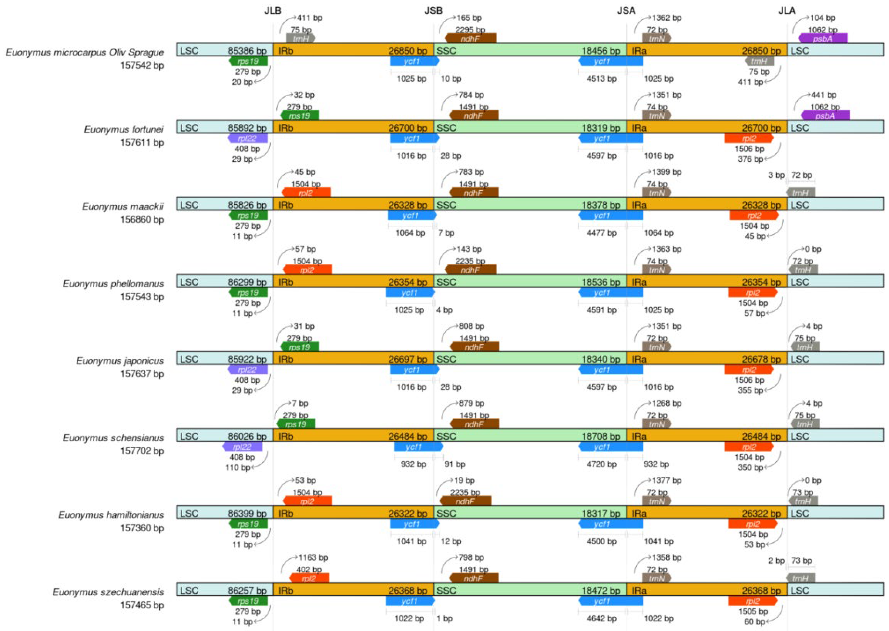 Genes 13 02352 g005 Genes 13 02352 g005