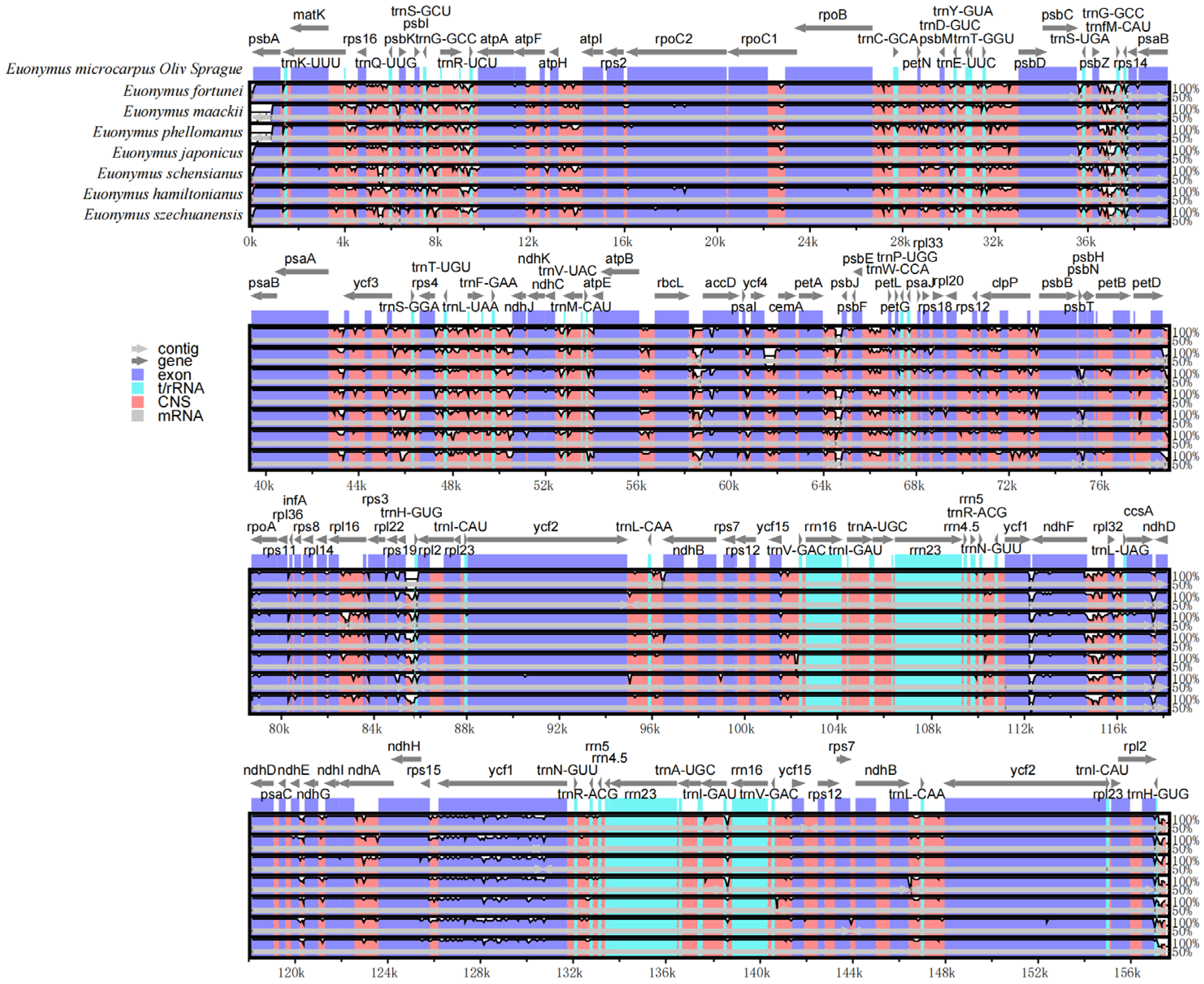 Genes 13 02352 g006 Genes 13 02352 g006