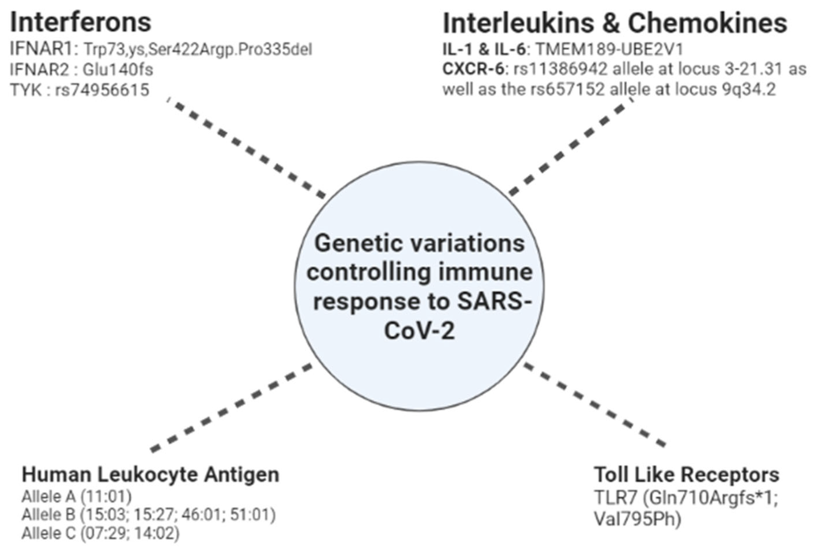 Genes 13 02355 g002 Genes 13 02355 g002