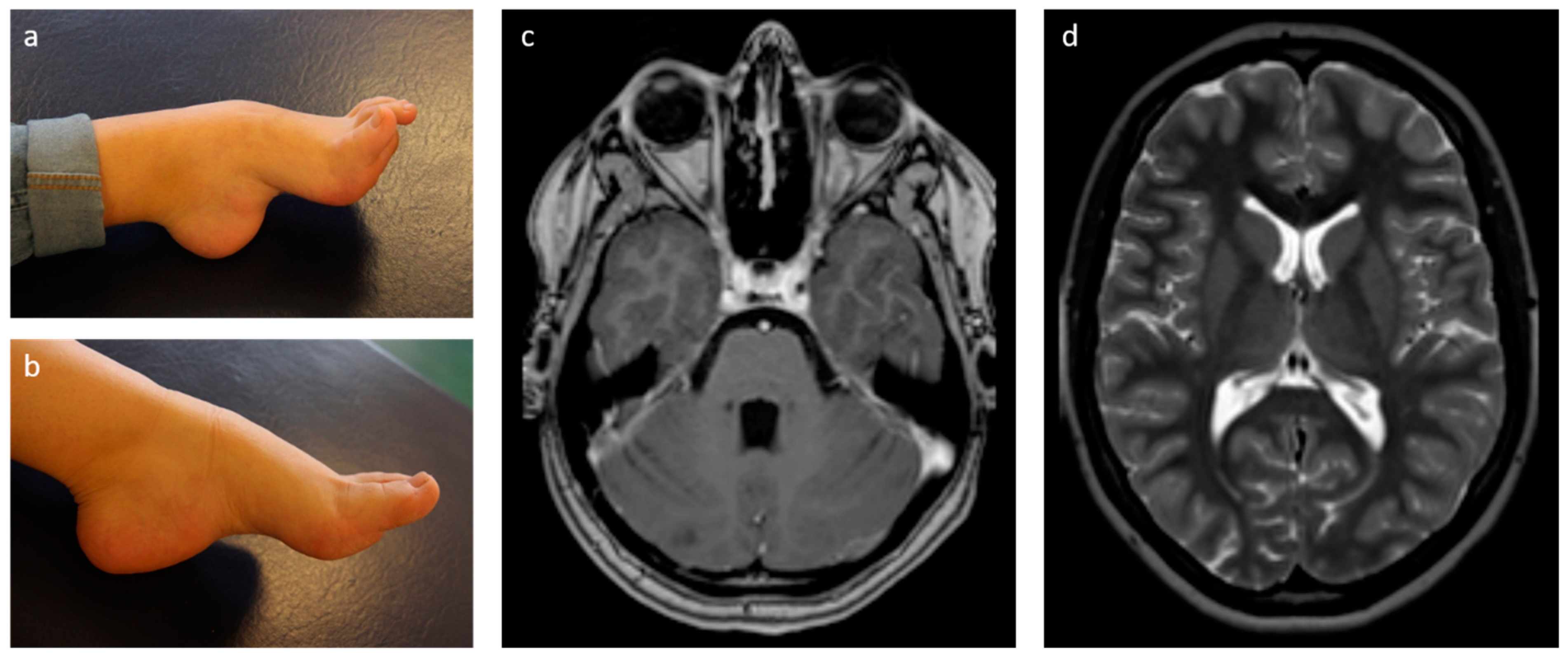 Genes 13 02356 g001 Genes 13 02356 g001