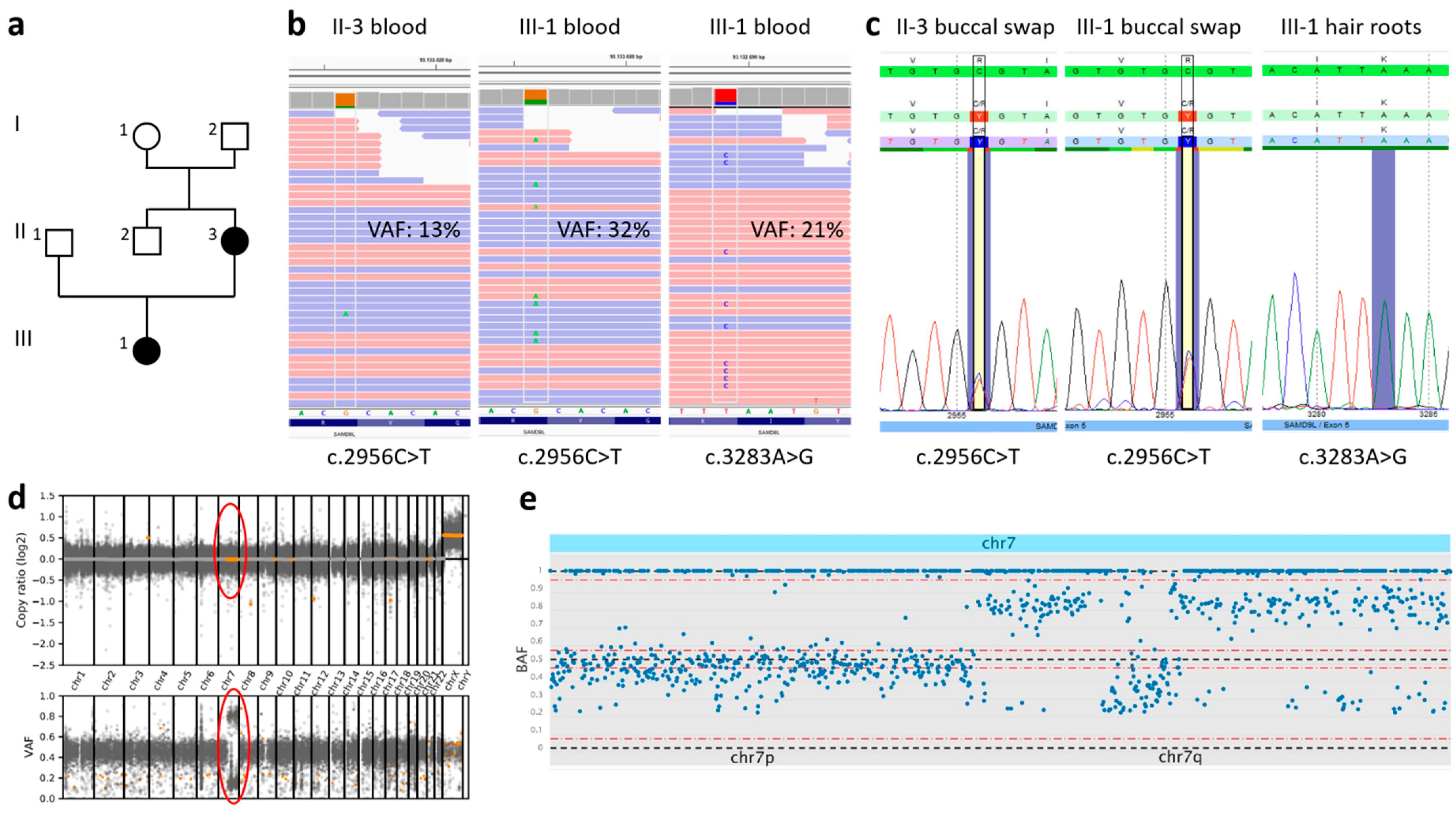 Genes 13 02356 g002 Genes 13 02356 g002