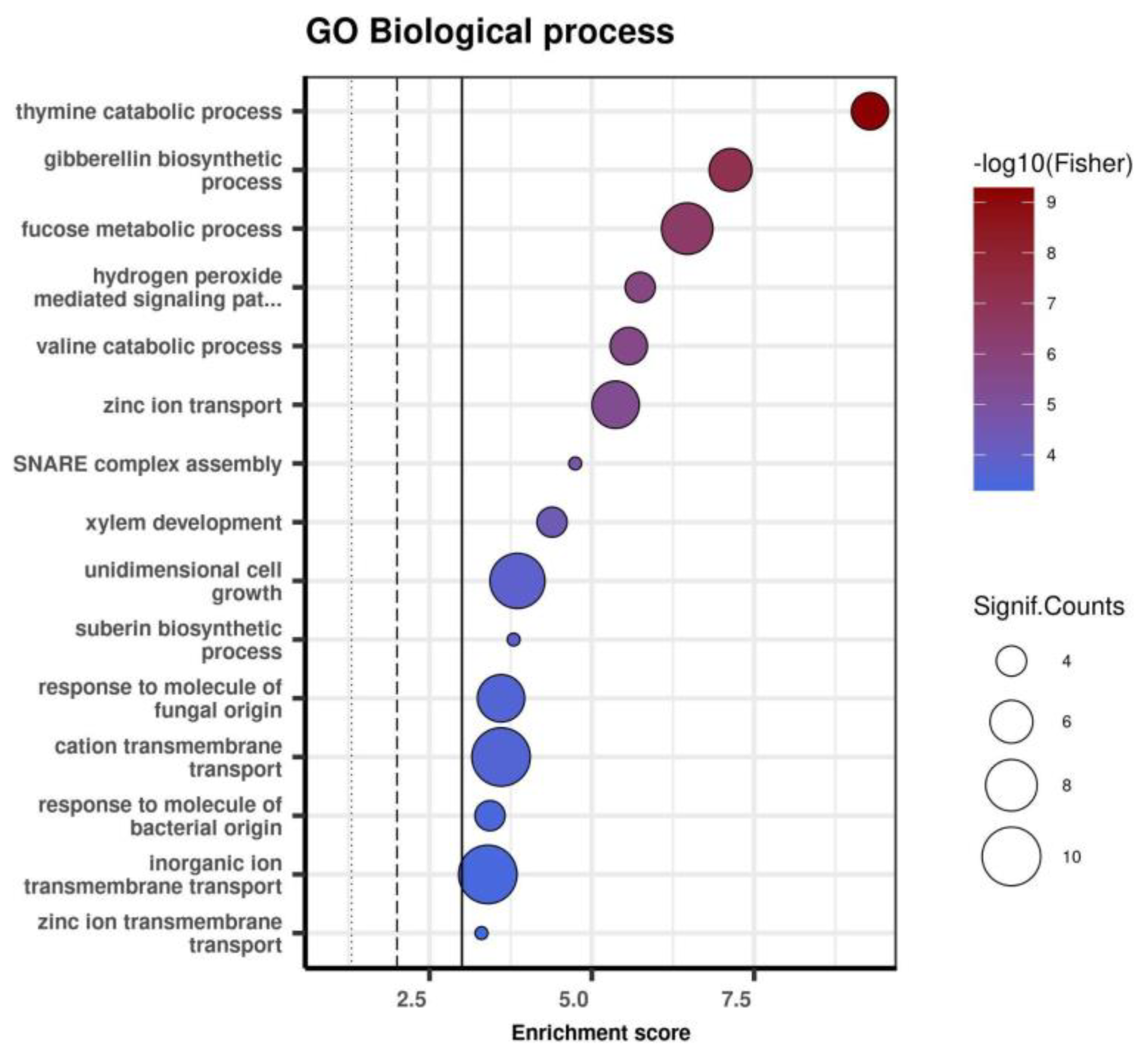 Genes 13 02357 g004 Genes 13 02357 g004