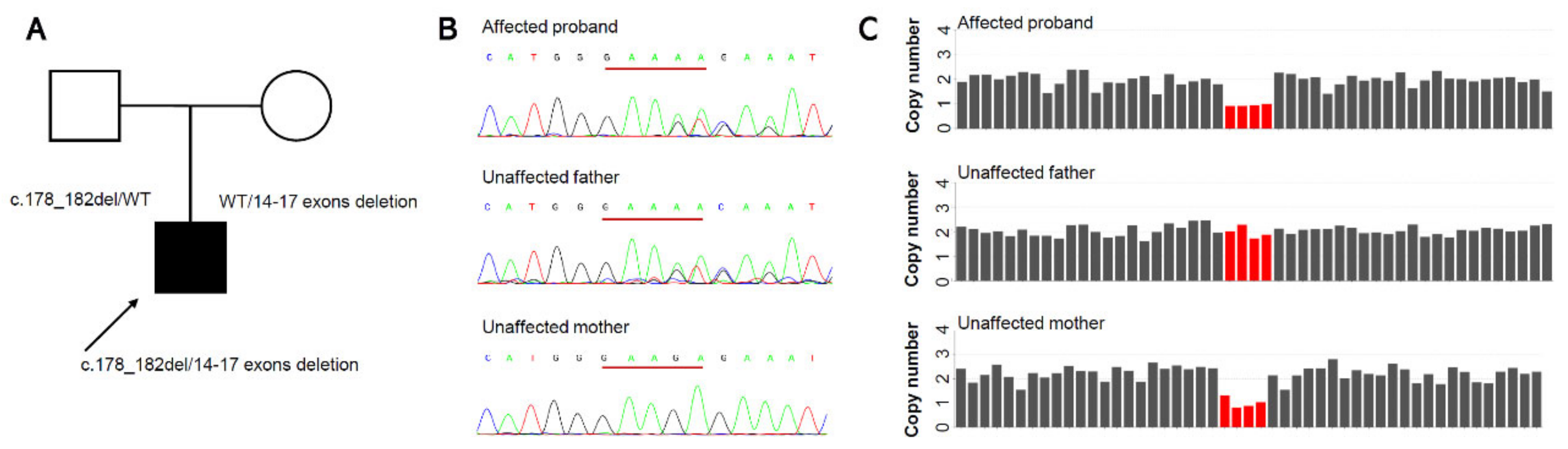 Genes 13 02364 g002 Genes 13 02364 g002