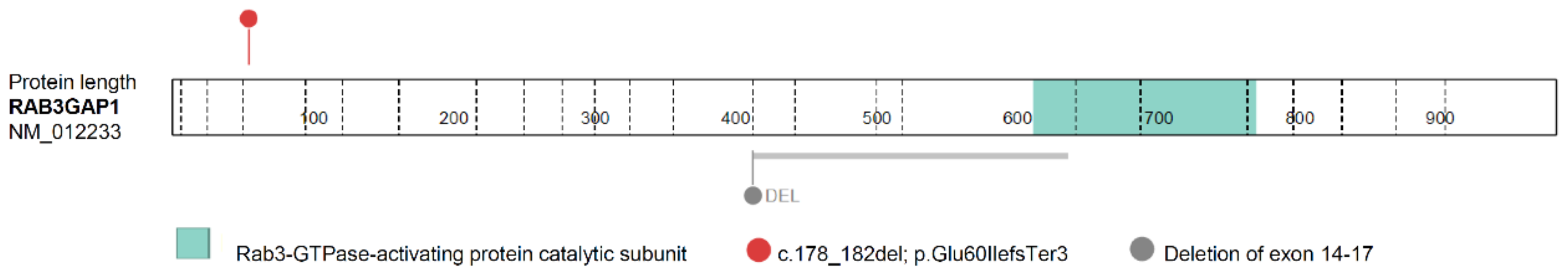 Genes 13 02364 g003 Genes 13 02364 g003