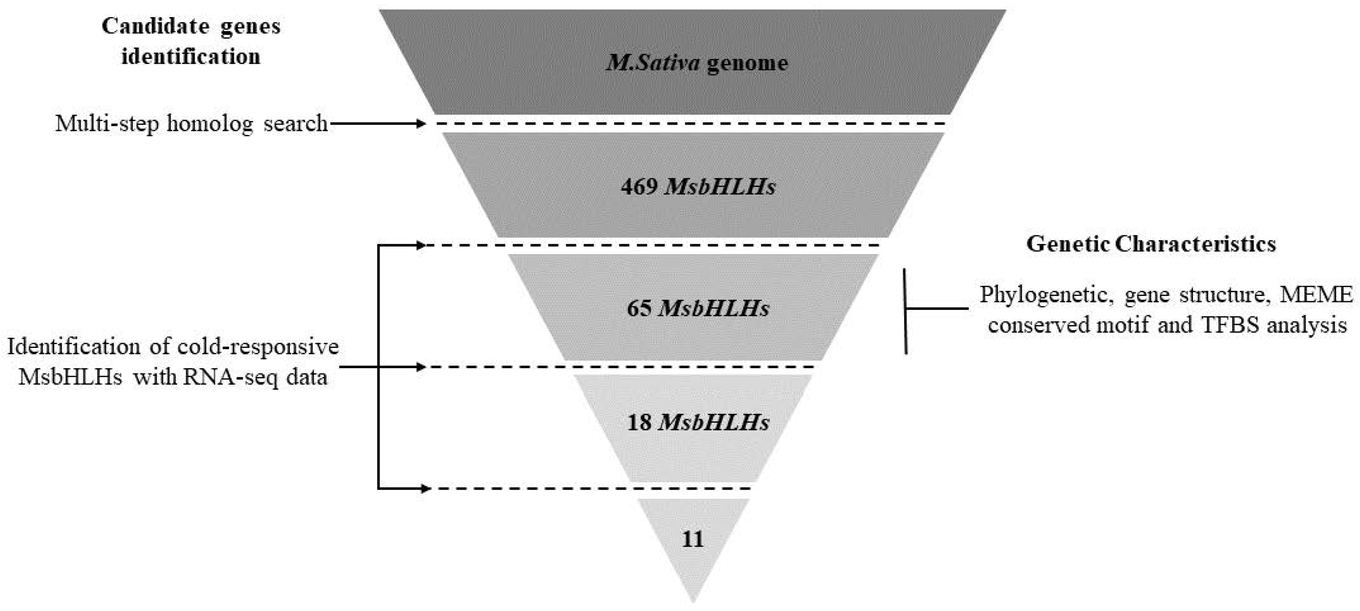 Genes 13 02371 g001 Genes 13 02371 g001