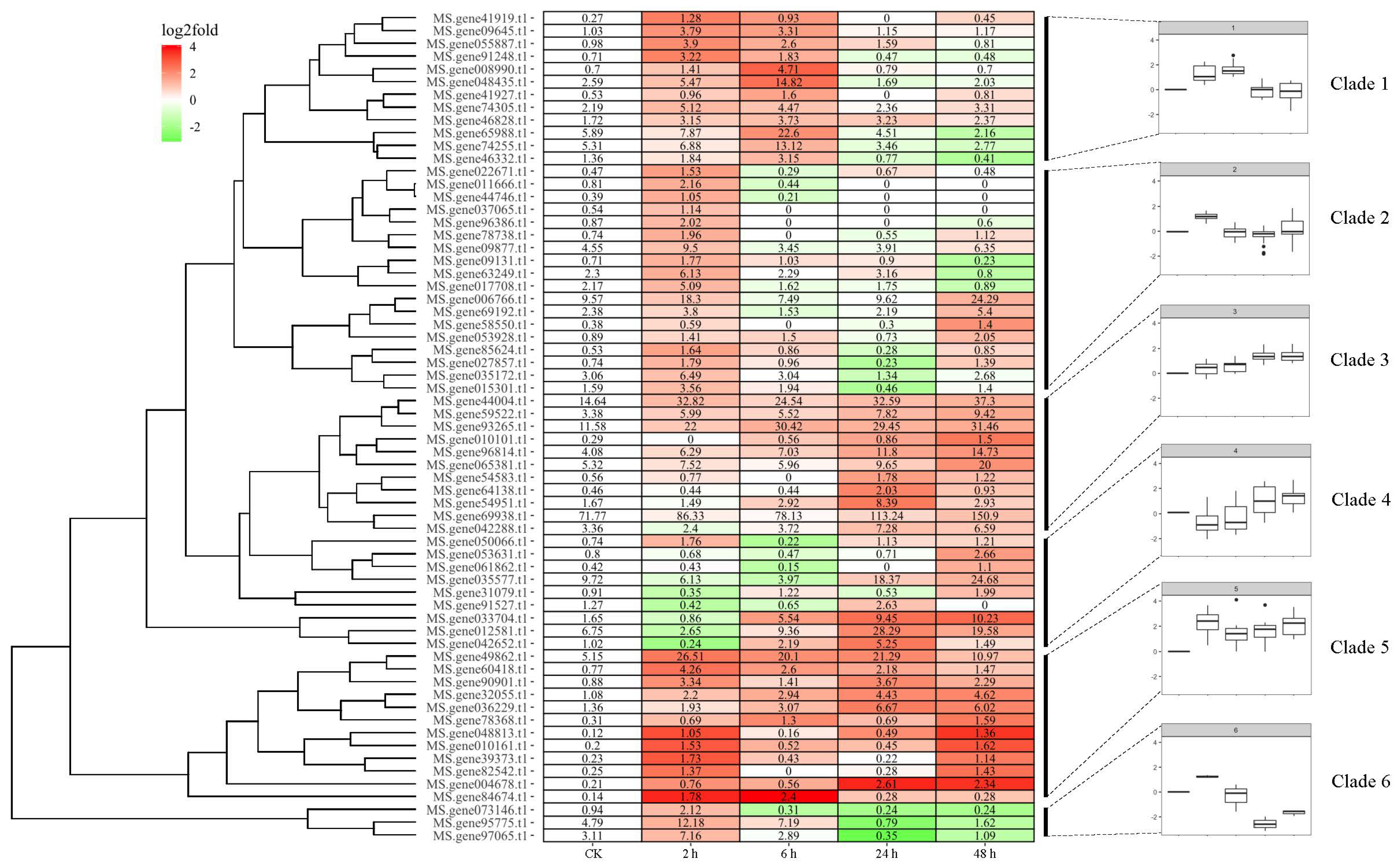 Genes 13 02371 g002 Genes 13 02371 g002