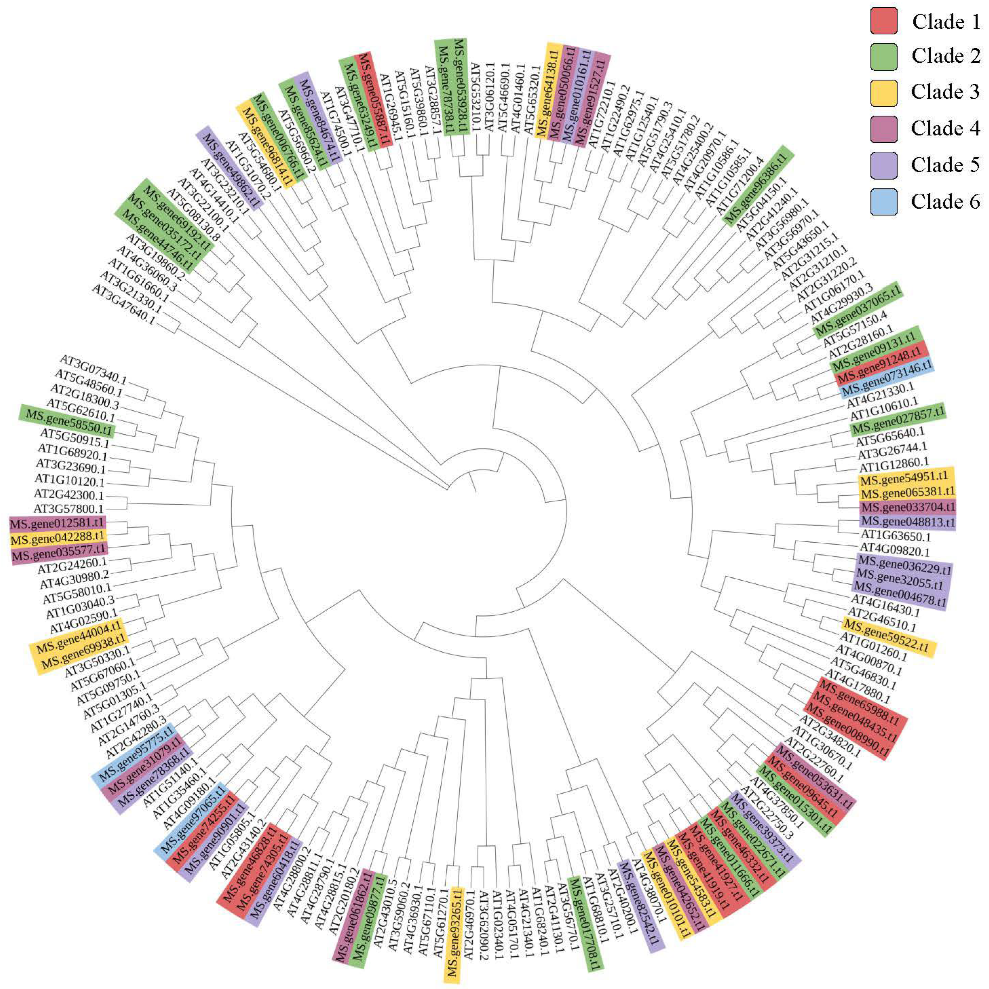 Genes 13 02371 g004 Genes 13 02371 g004
