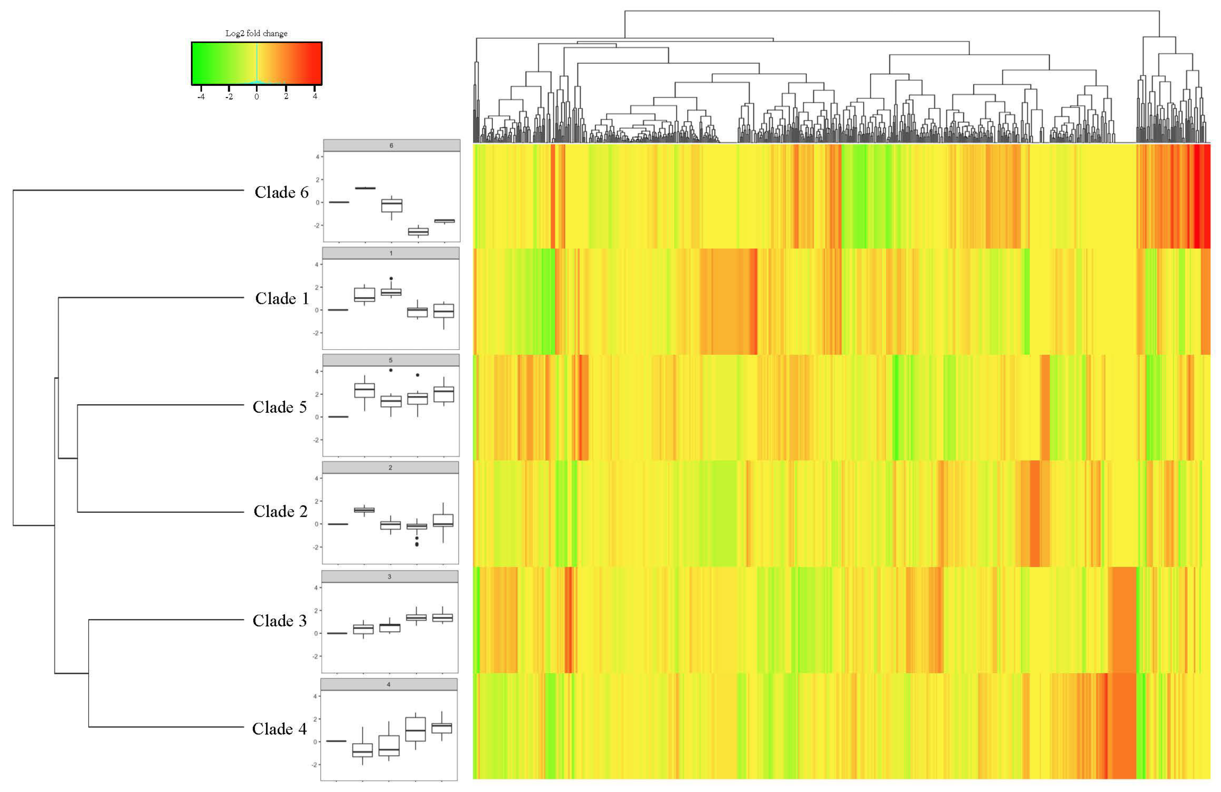 Genes 13 02371 g005 Genes 13 02371 g005