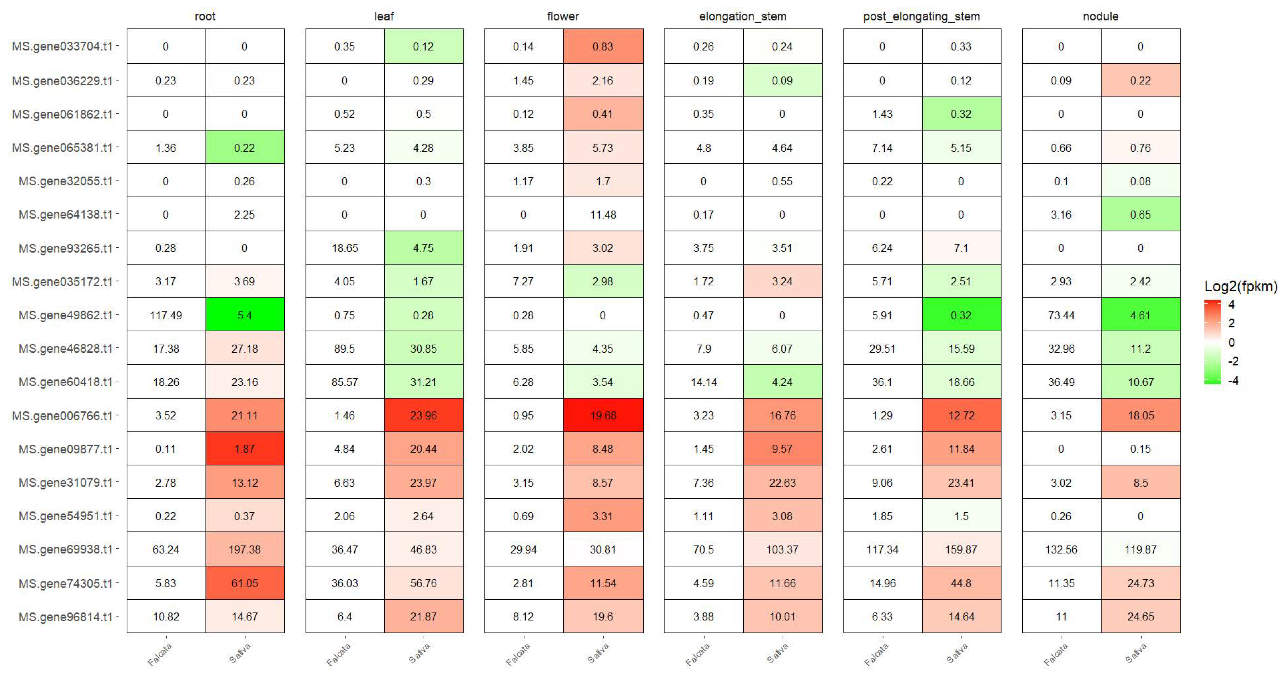 Genes 13 02371 g007 Genes 13 02371 g007