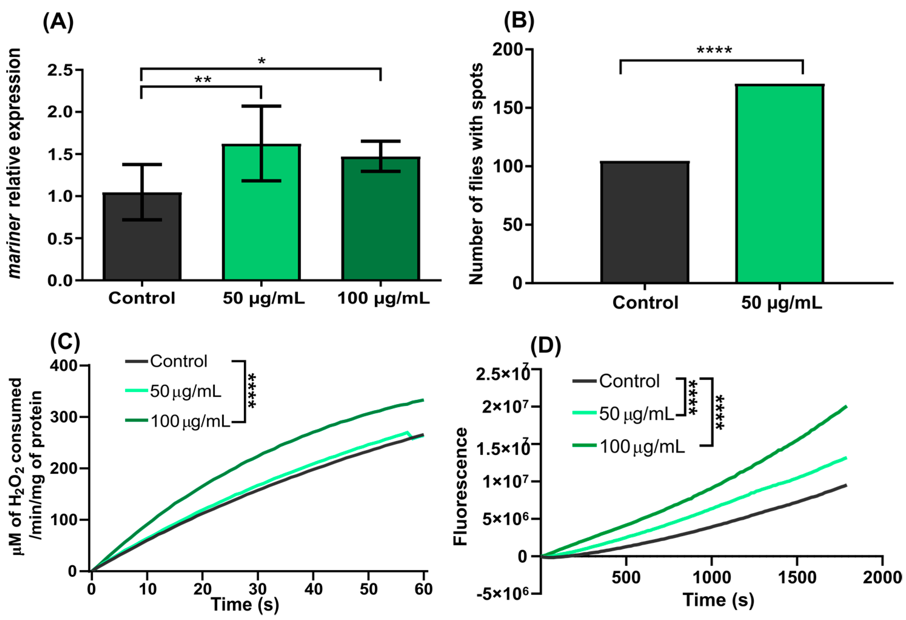 Genes 13 02374 g002 Genes 13 02374 g002