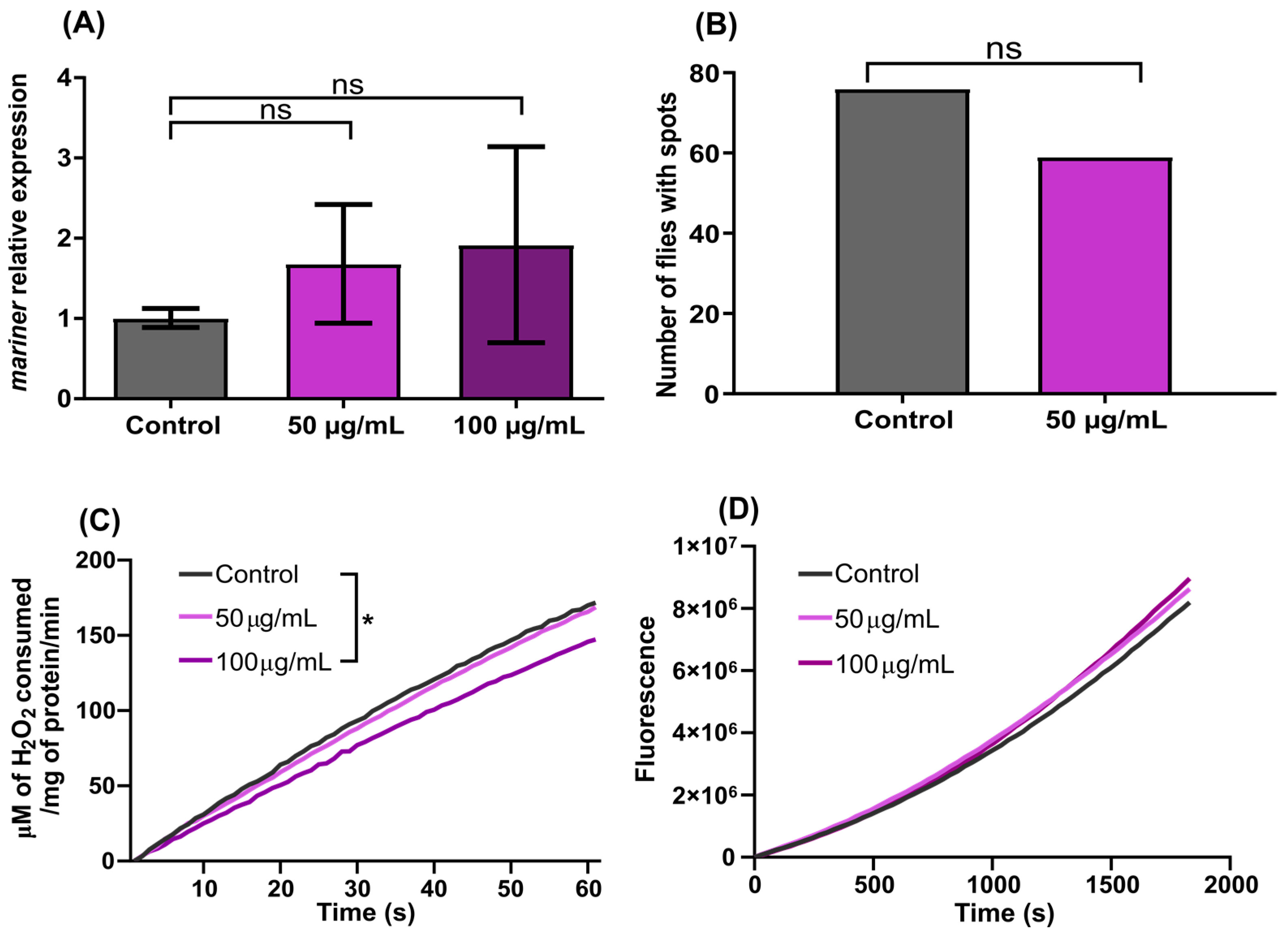 Genes 13 02374 g003 Genes 13 02374 g003