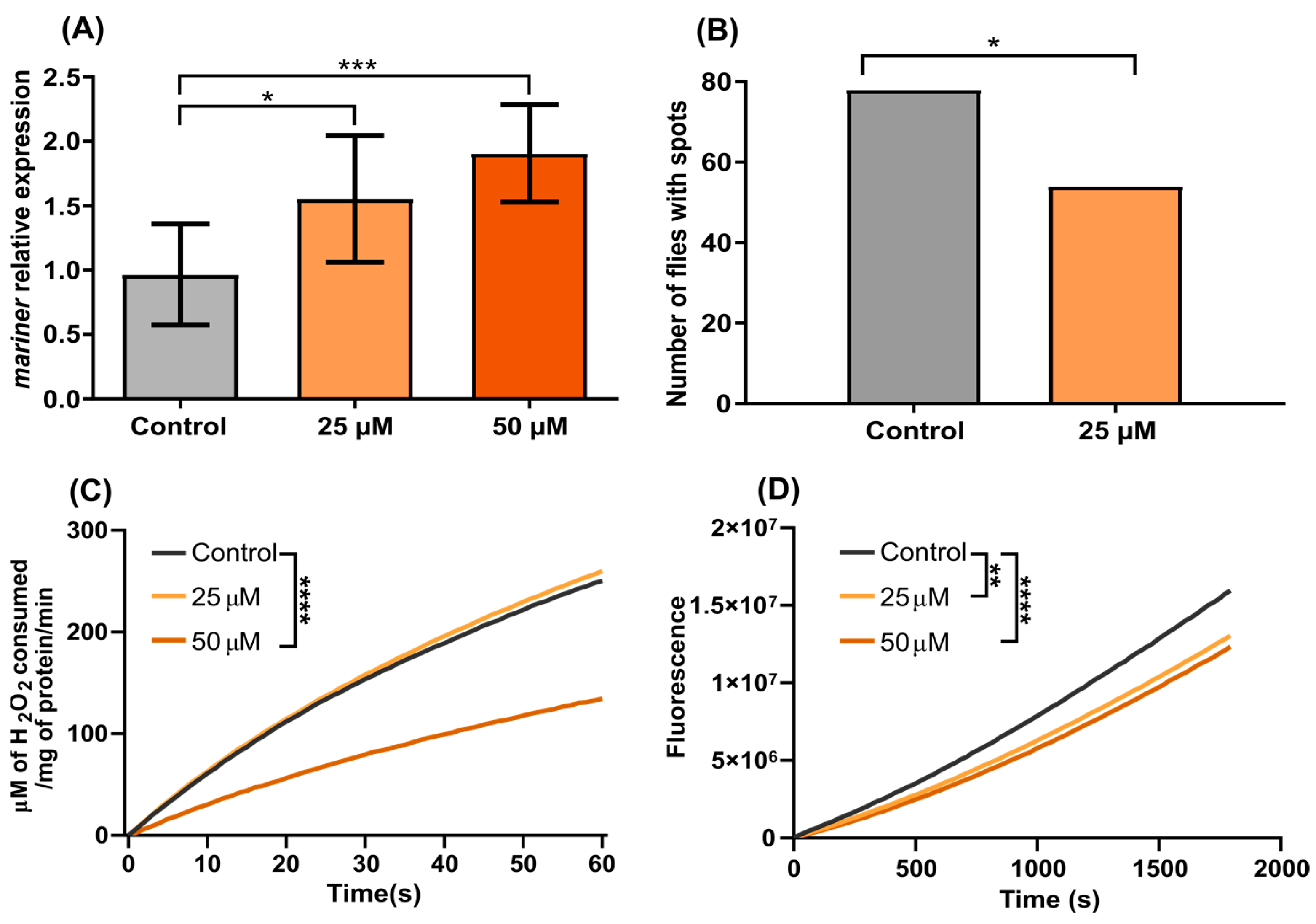 Genes 13 02374 g004 Genes 13 02374 g004