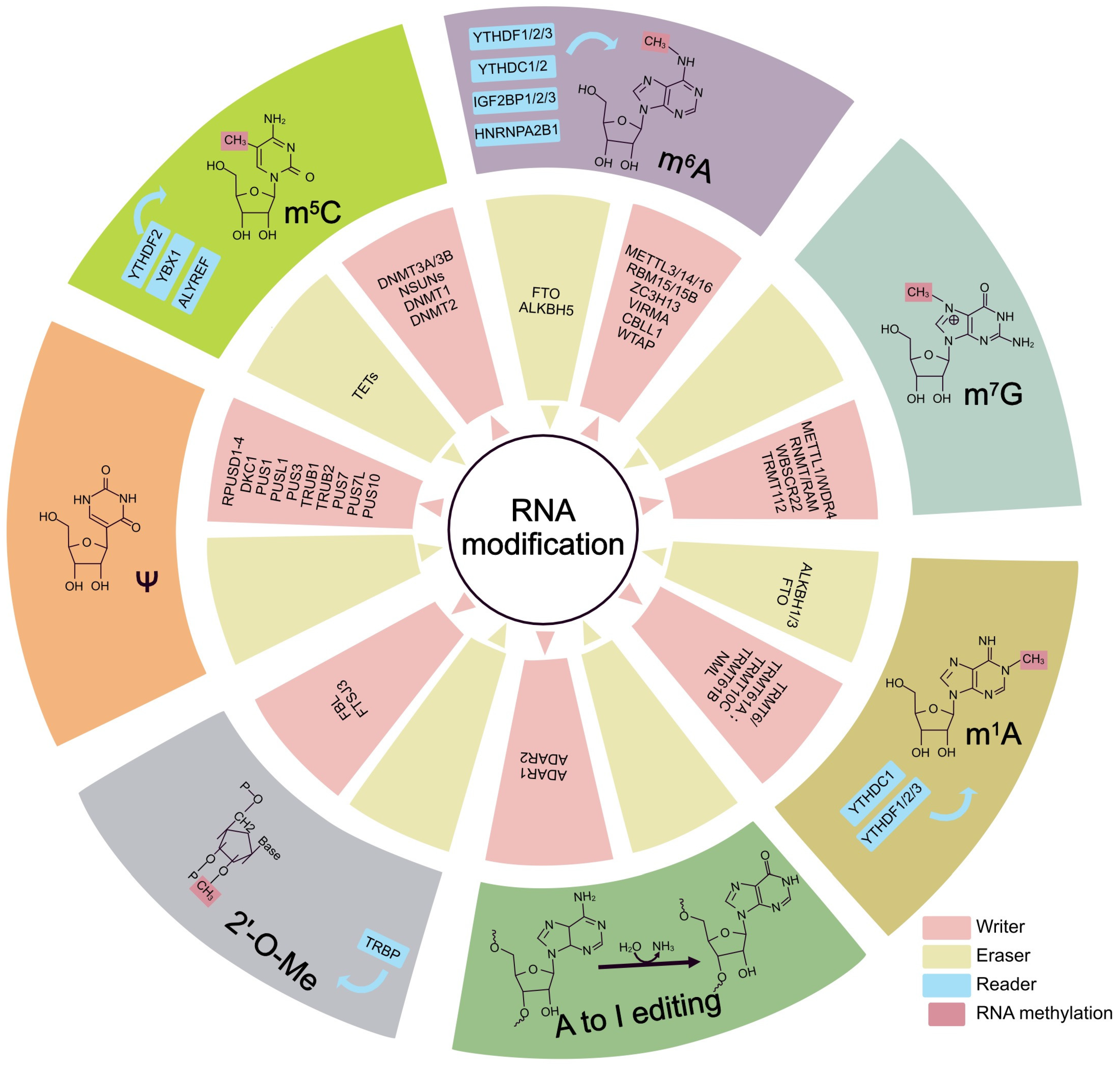 Genes 13 02381 g001 Genes 13 02381 g001