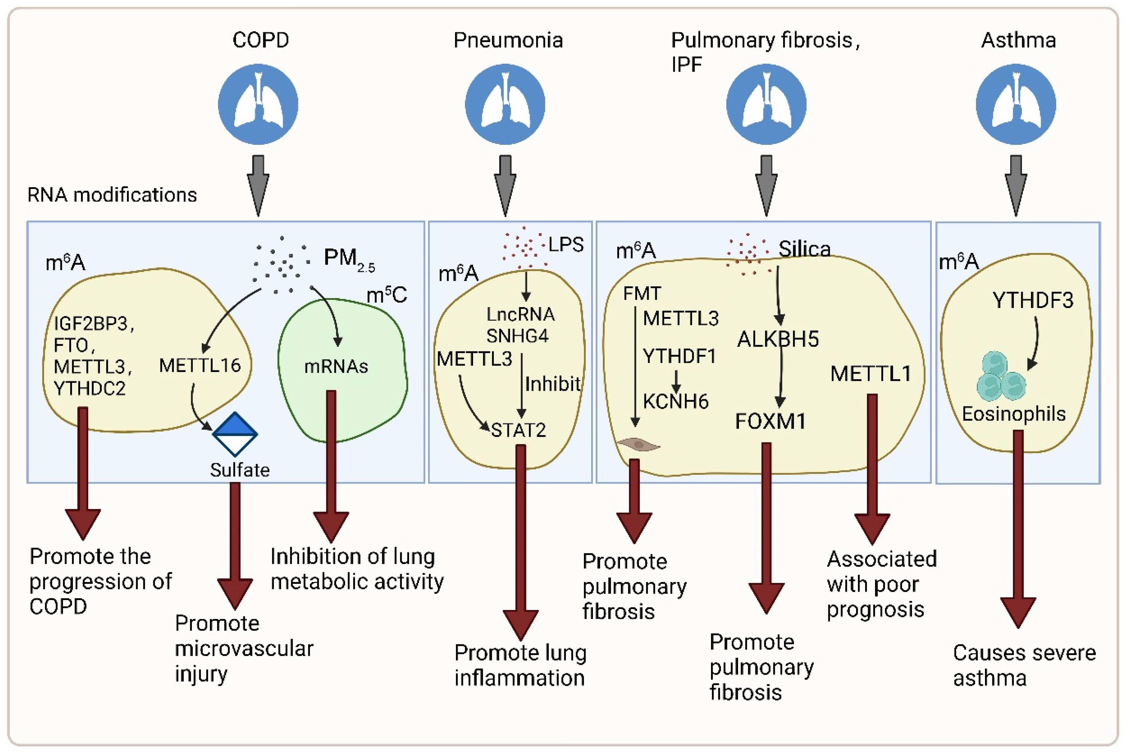 Genes 13 02381 g003 Genes 13 02381 g003
