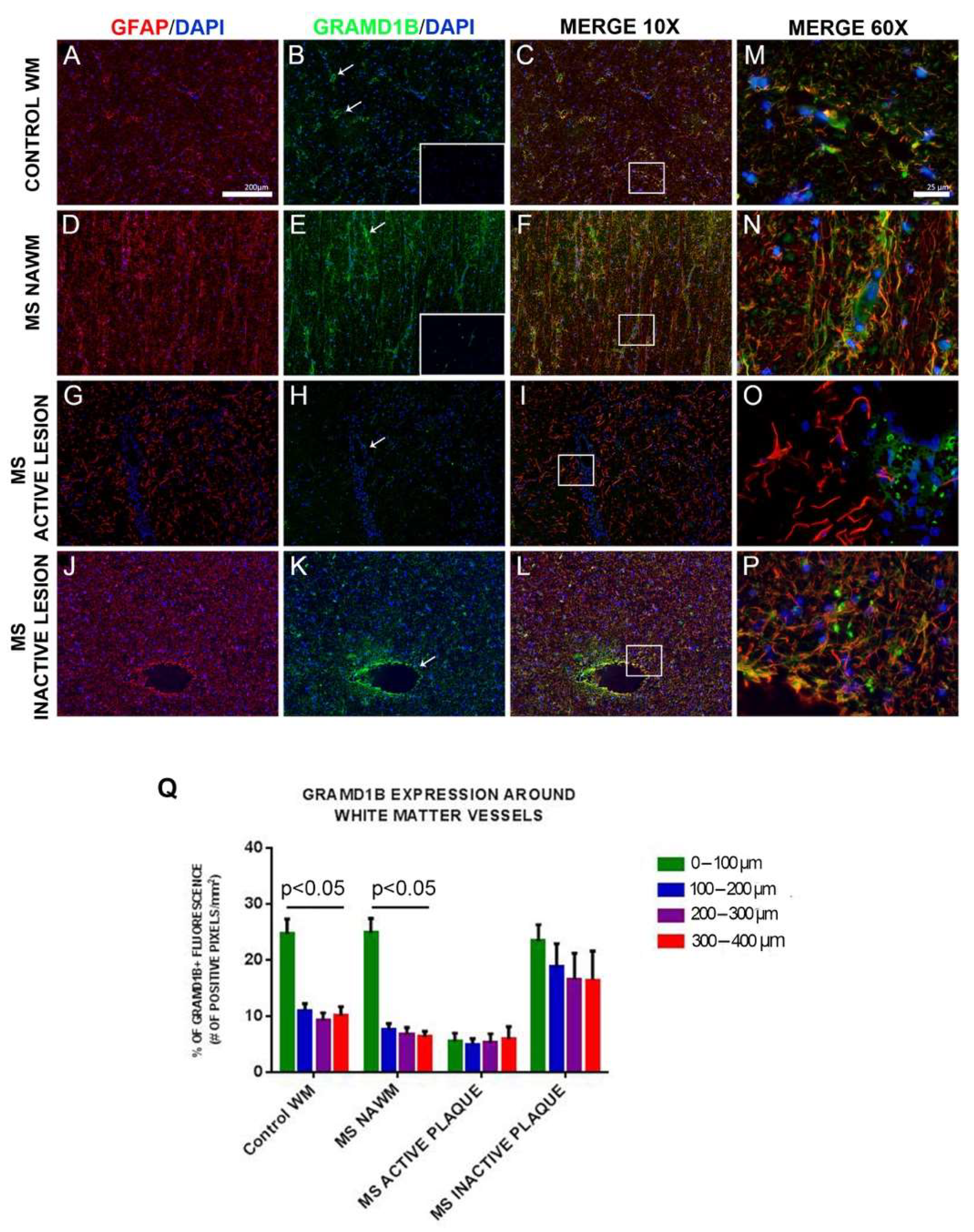 Genes 13 02392 g006 Genes 13 02392 g006