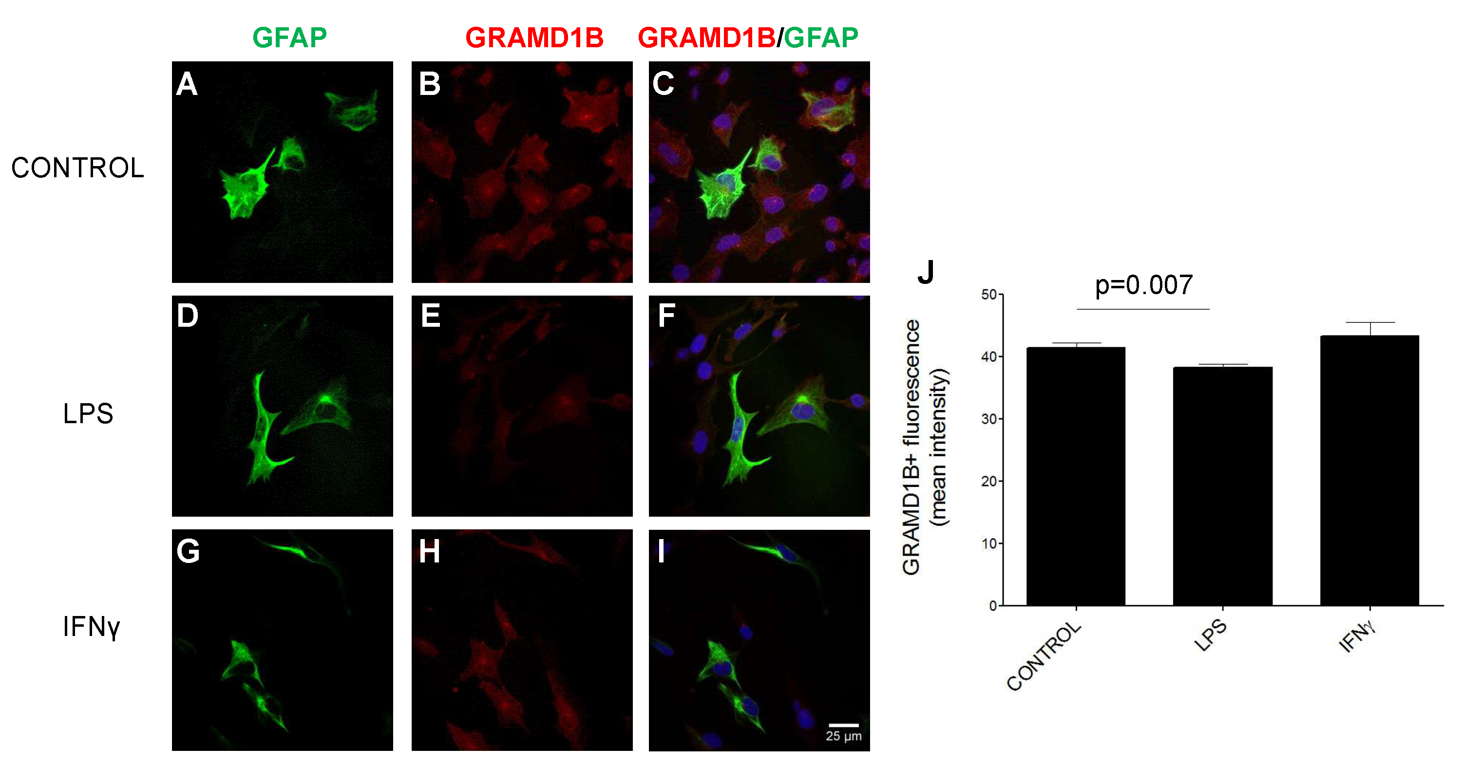 Genes 13 02392 g007 Genes 13 02392 g007