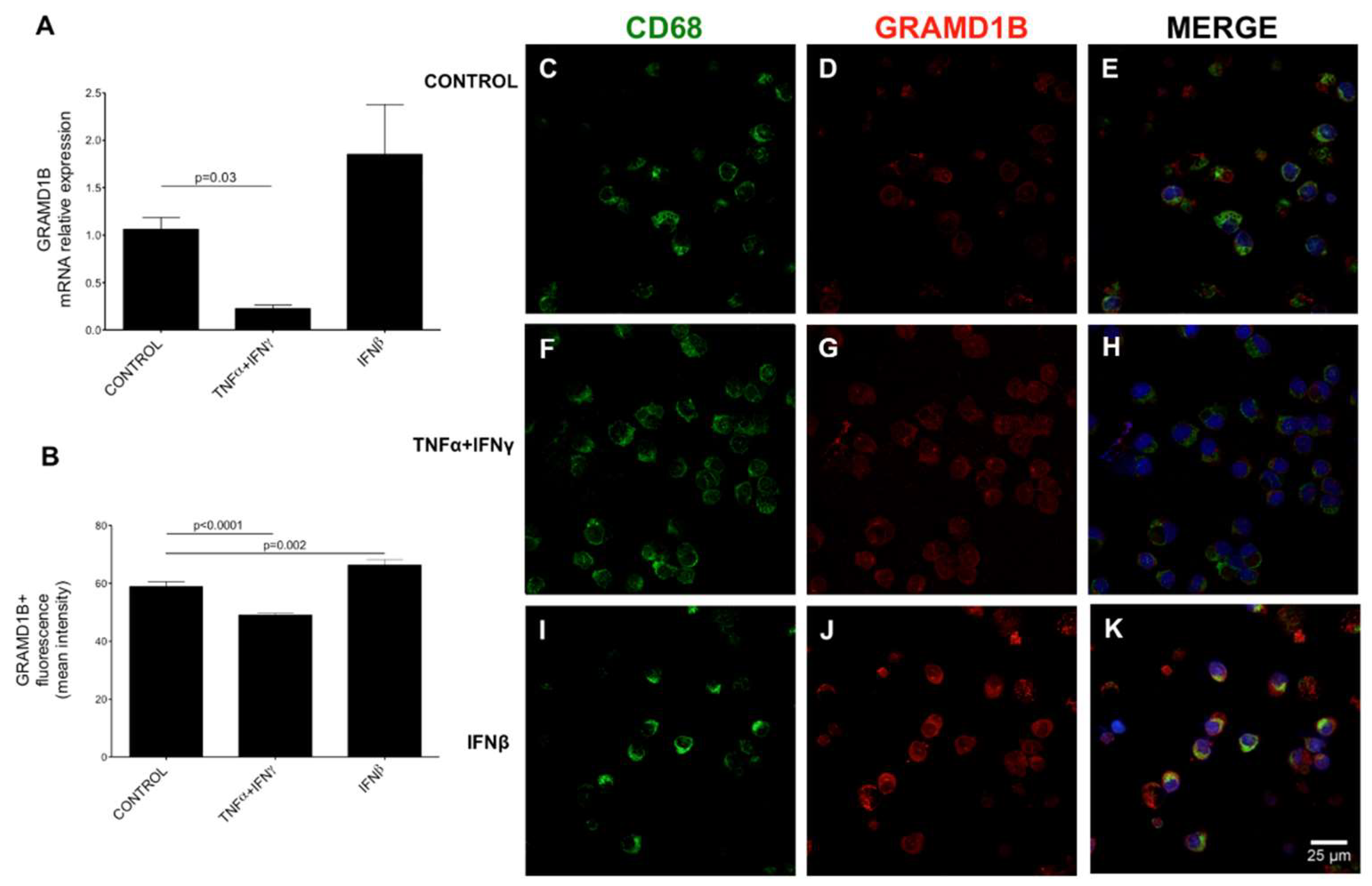 Genes 13 02392 g008 Genes 13 02392 g008