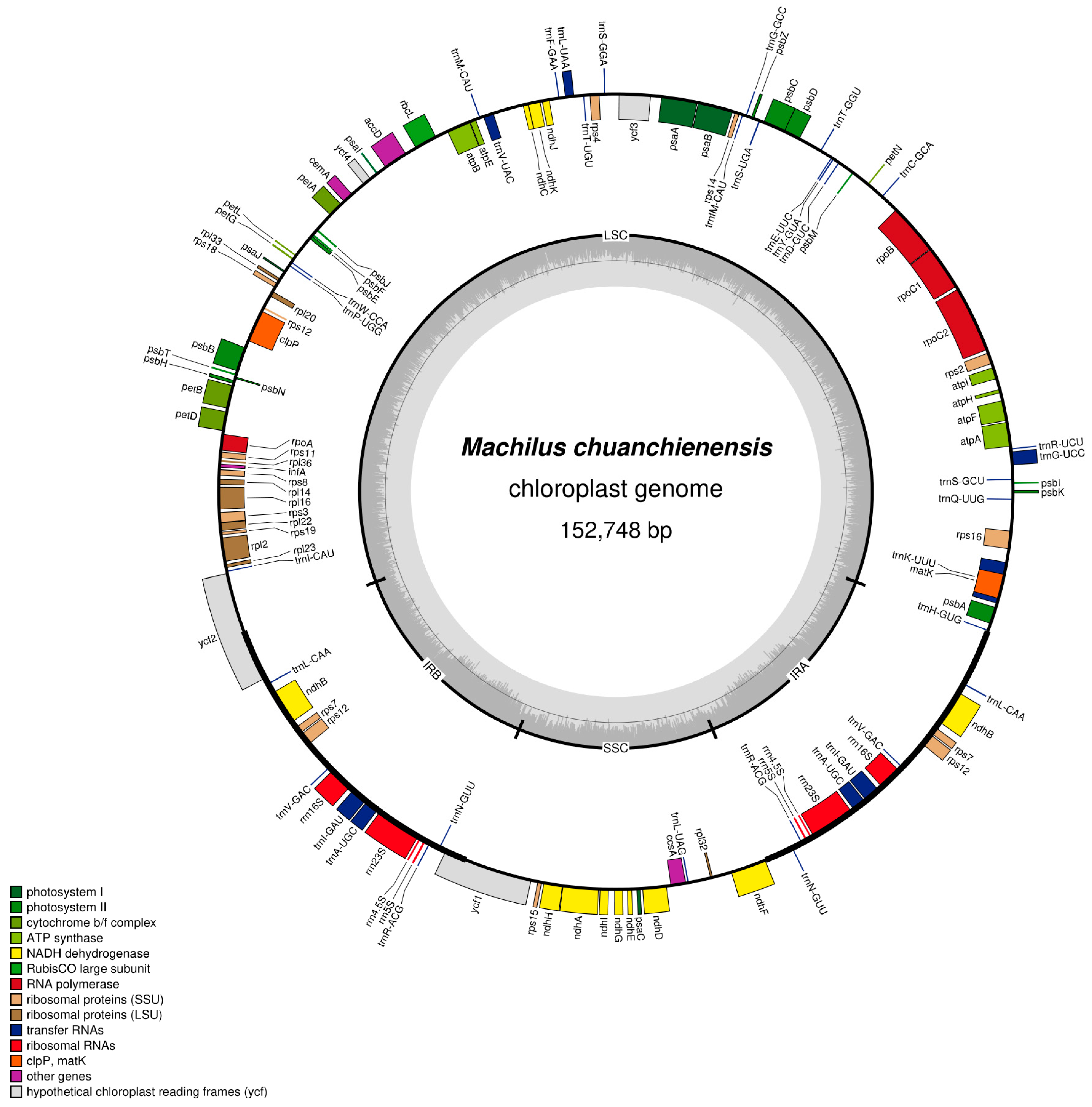 Genes 13 02402 g001 Genes 13 02402 g001