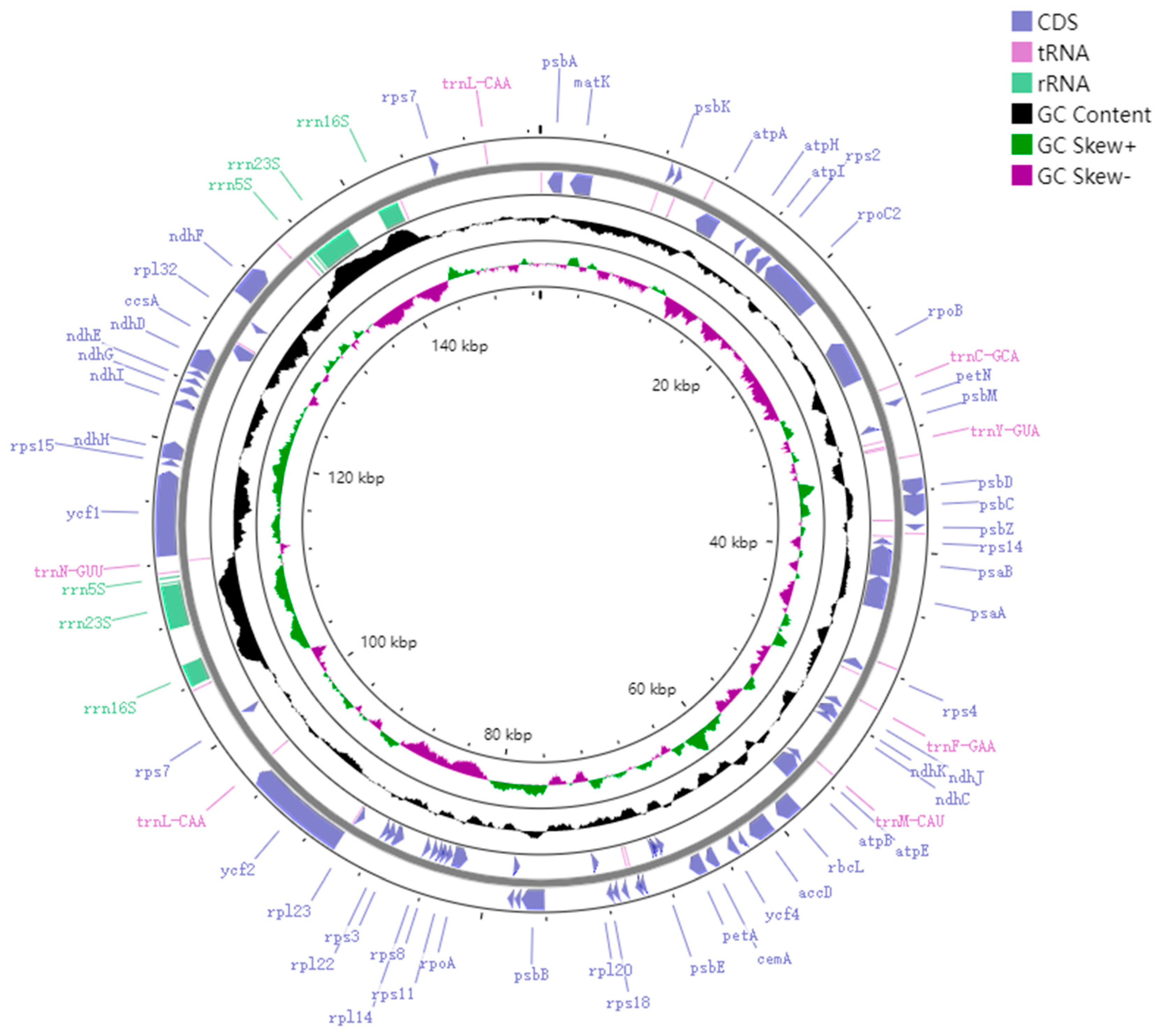 Genes 13 02402 g002 Genes 13 02402 g002