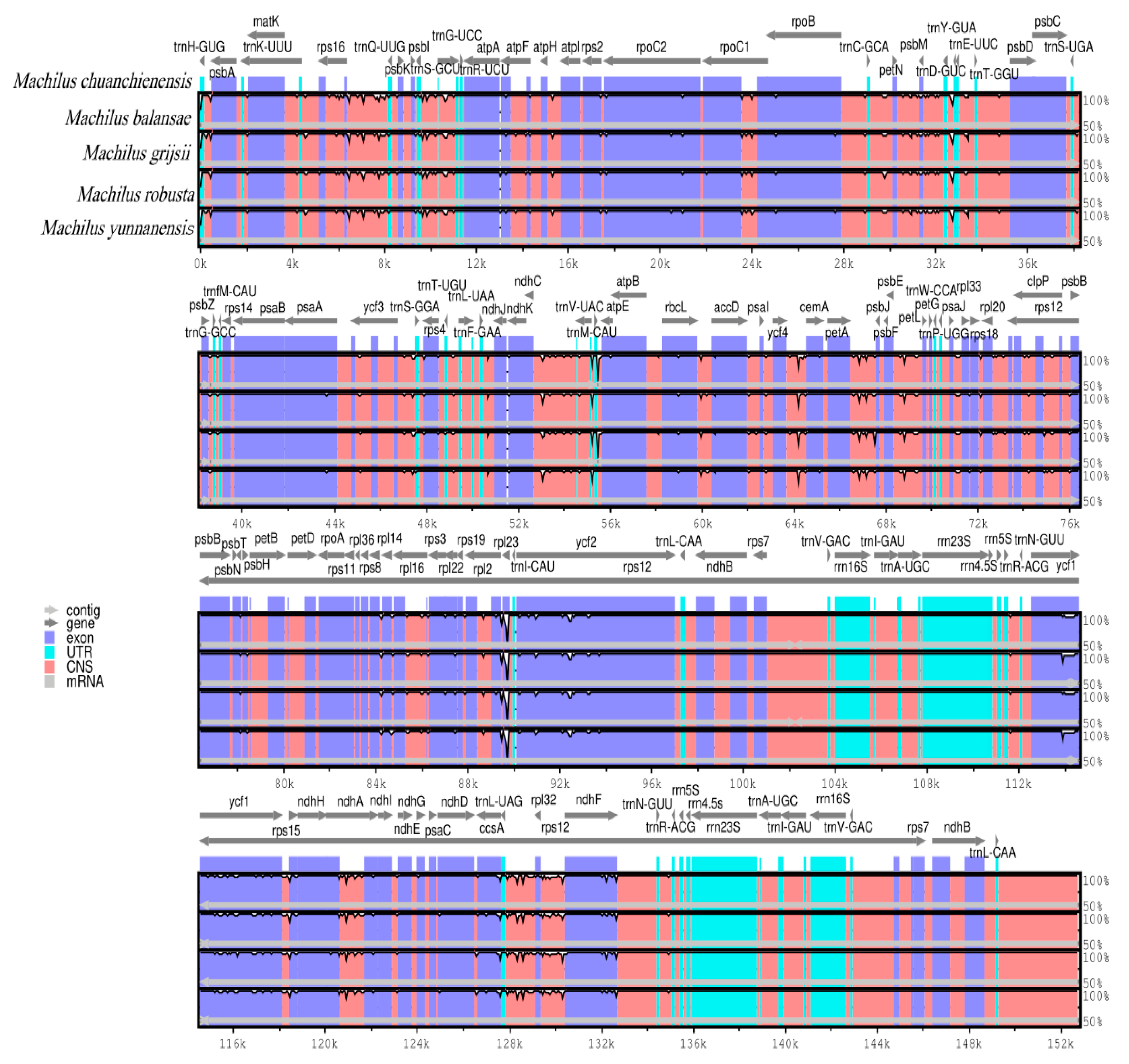 Genes 13 02402 g004 Genes 13 02402 g004