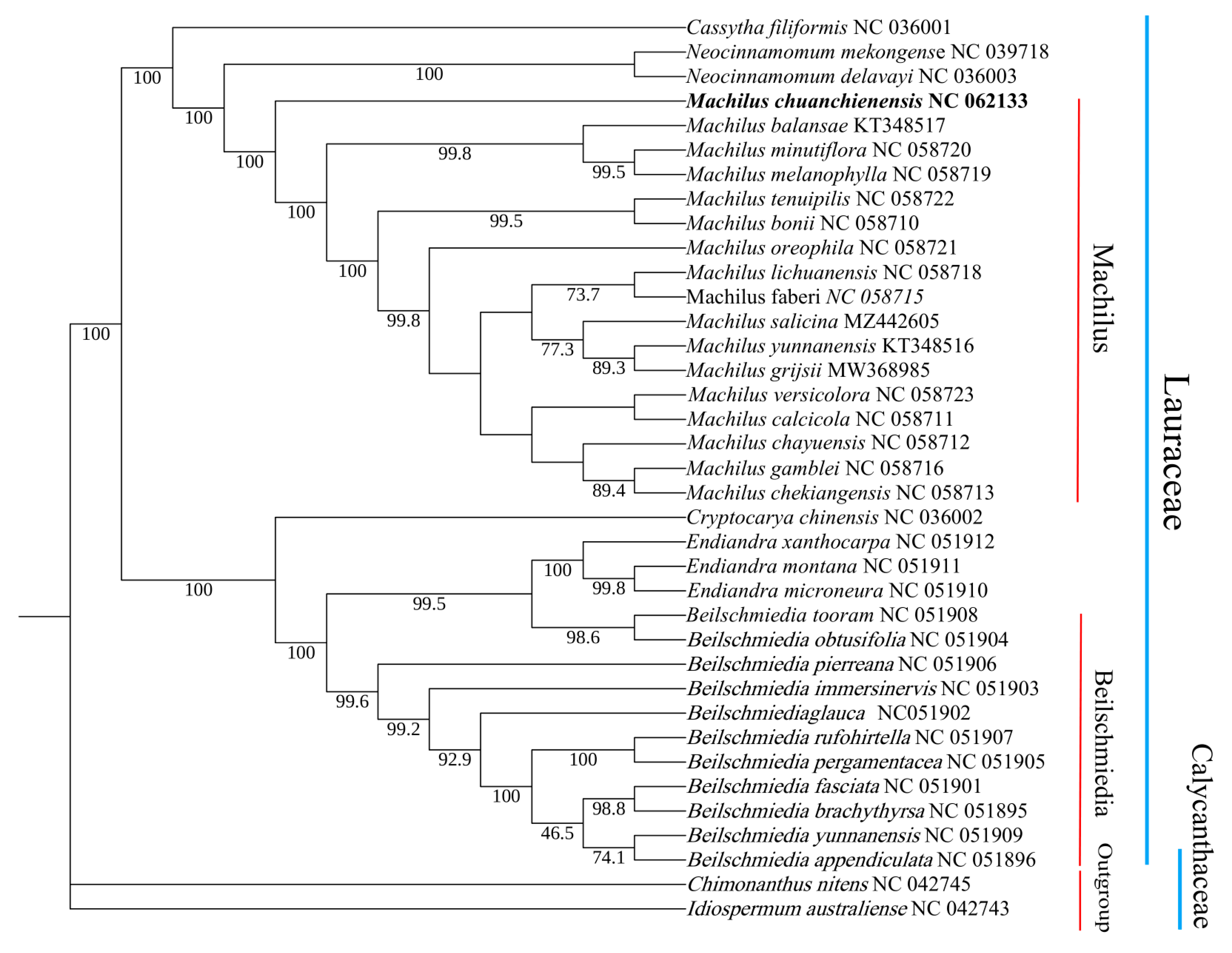Genes 13 02402 g007 Genes 13 02402 g007
